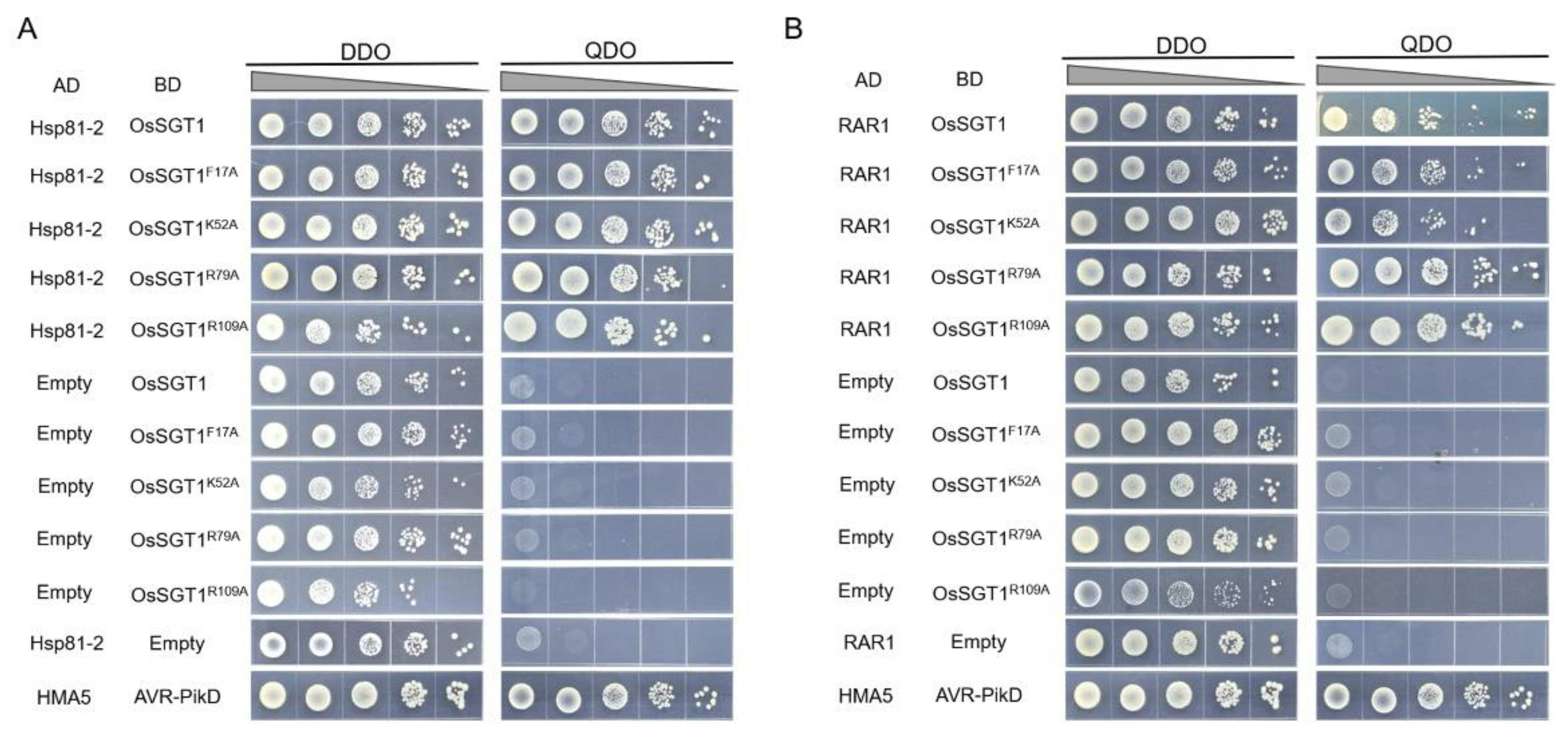 Crystals 15 00543 g005