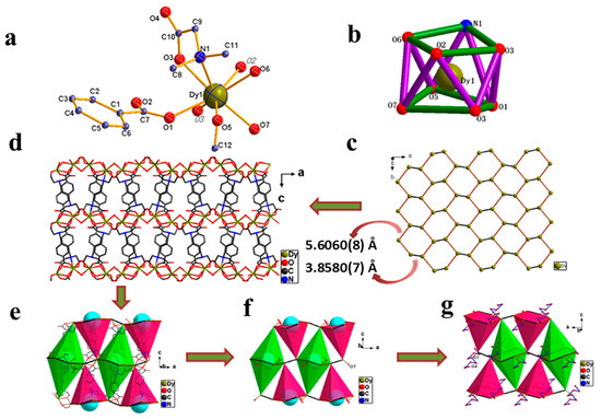 A Coordination Polymer of Dy(III) with Polycarboxylic Acid