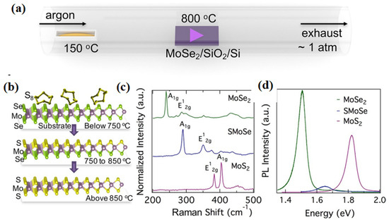 Preparation, Properties, and Applications of 2D Janus Transition Metal ...