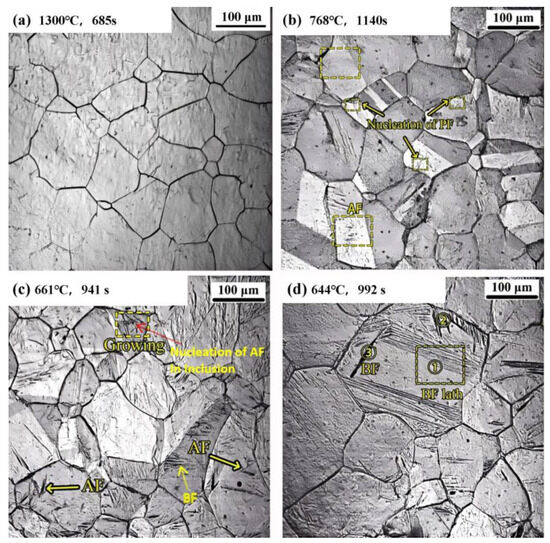 Microstructure and Properties of Corrosion-Resistant Steel