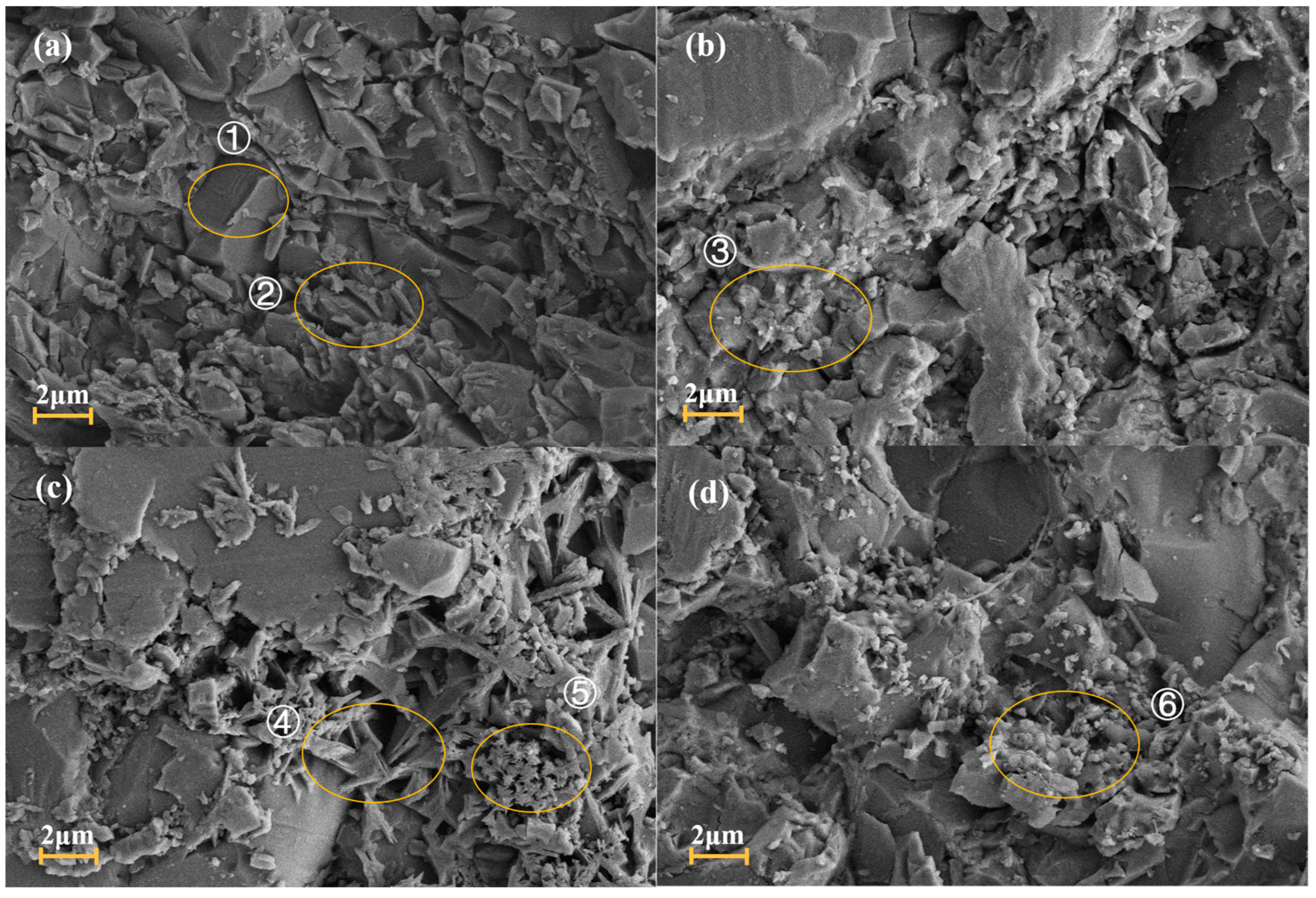 Crystals 15 00606 g004