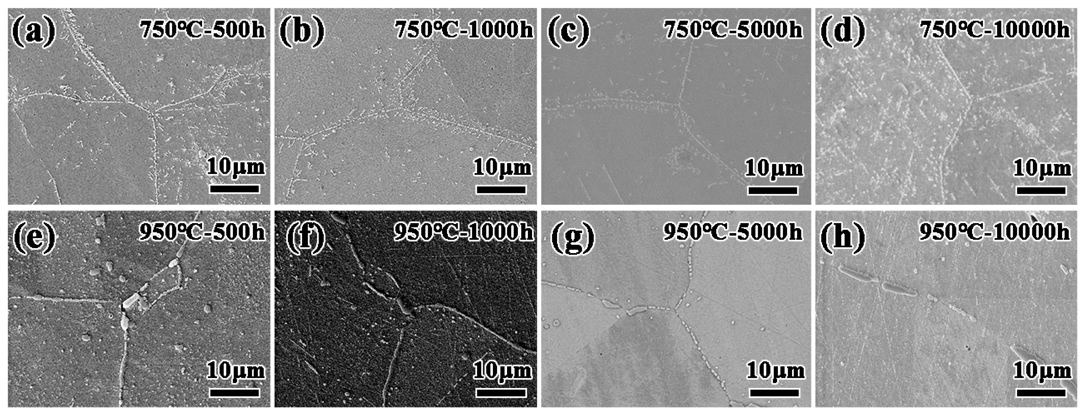 Crystals 15 00617 g002