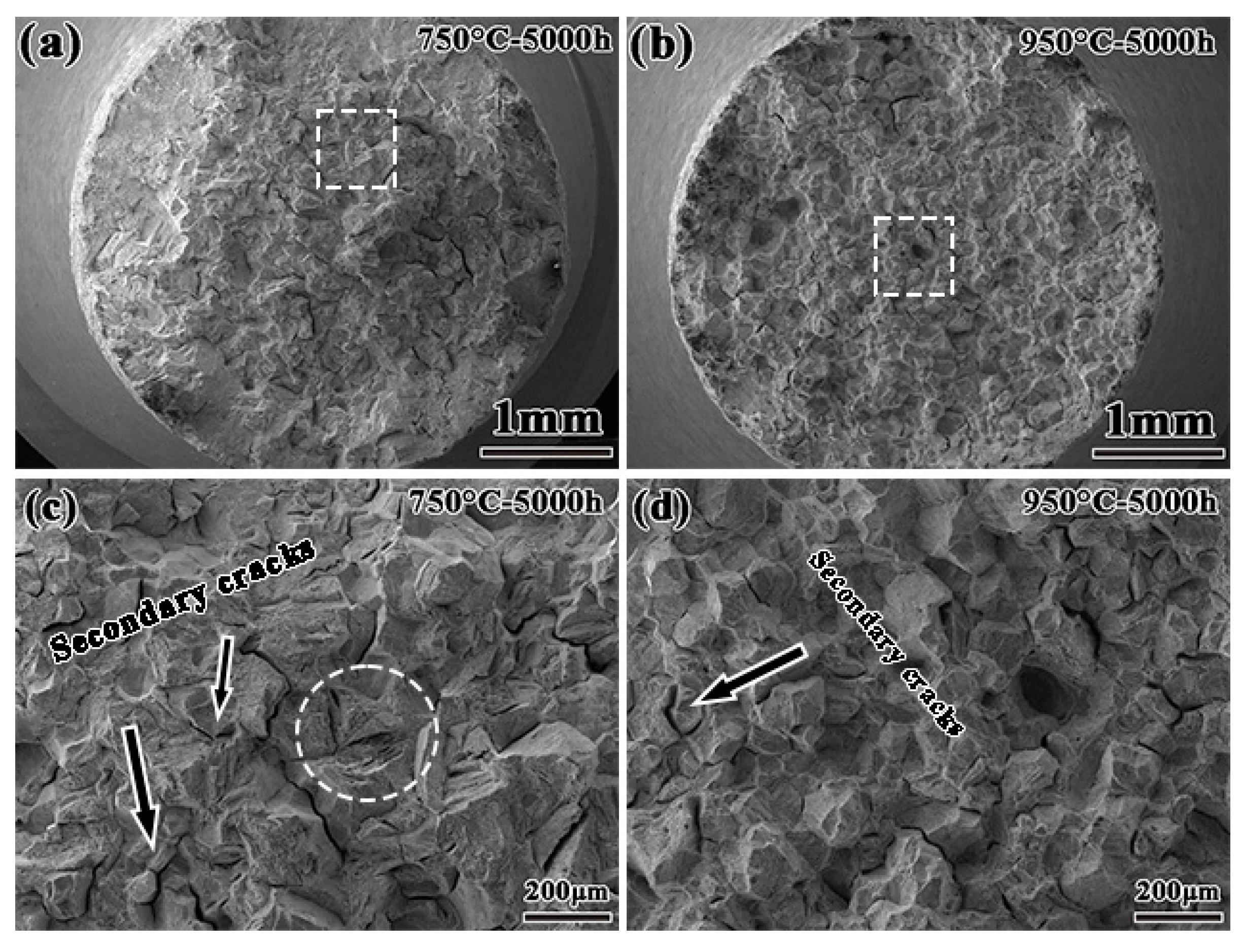 Crystals 15 00617 g005