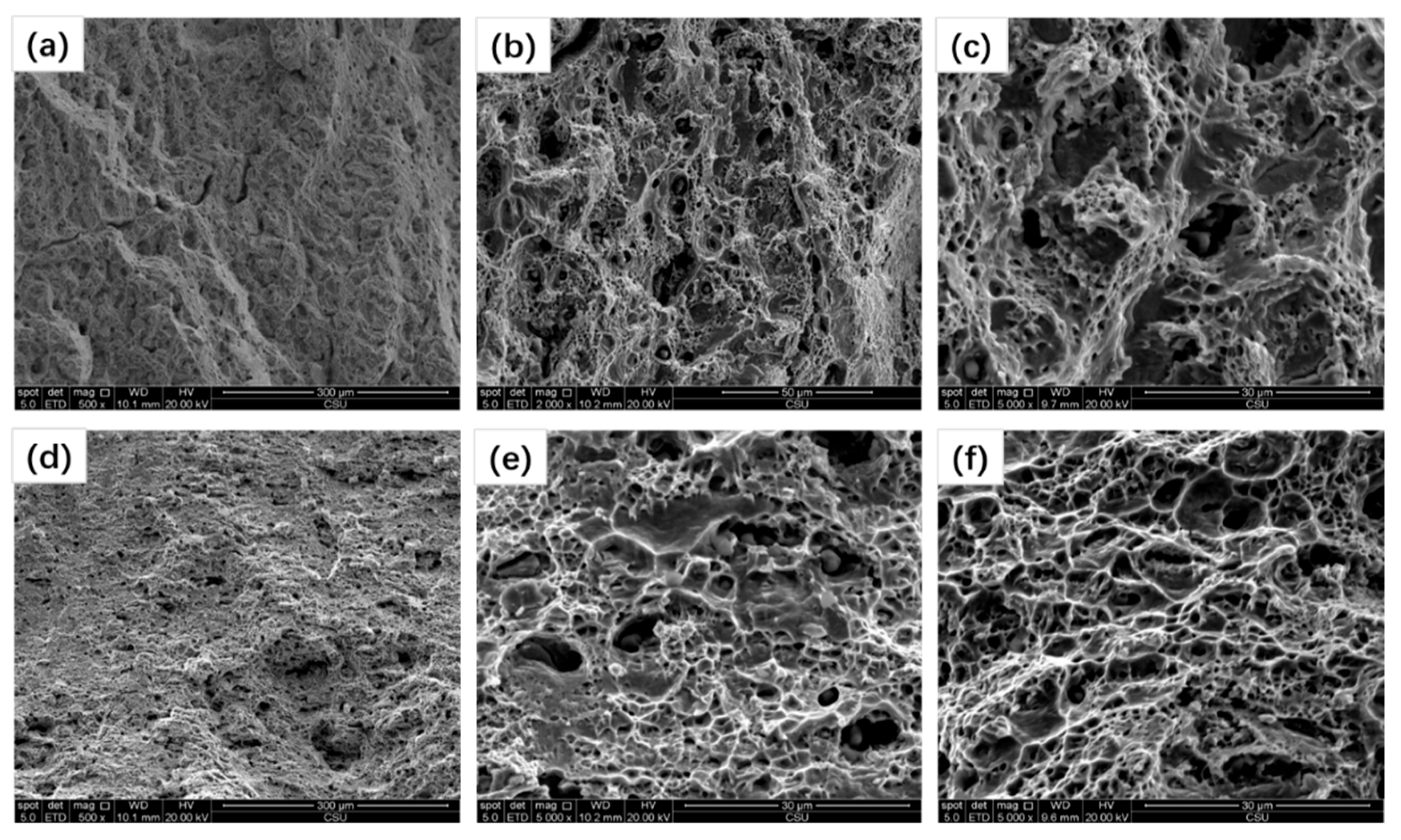 Crystals 15 00630 g007