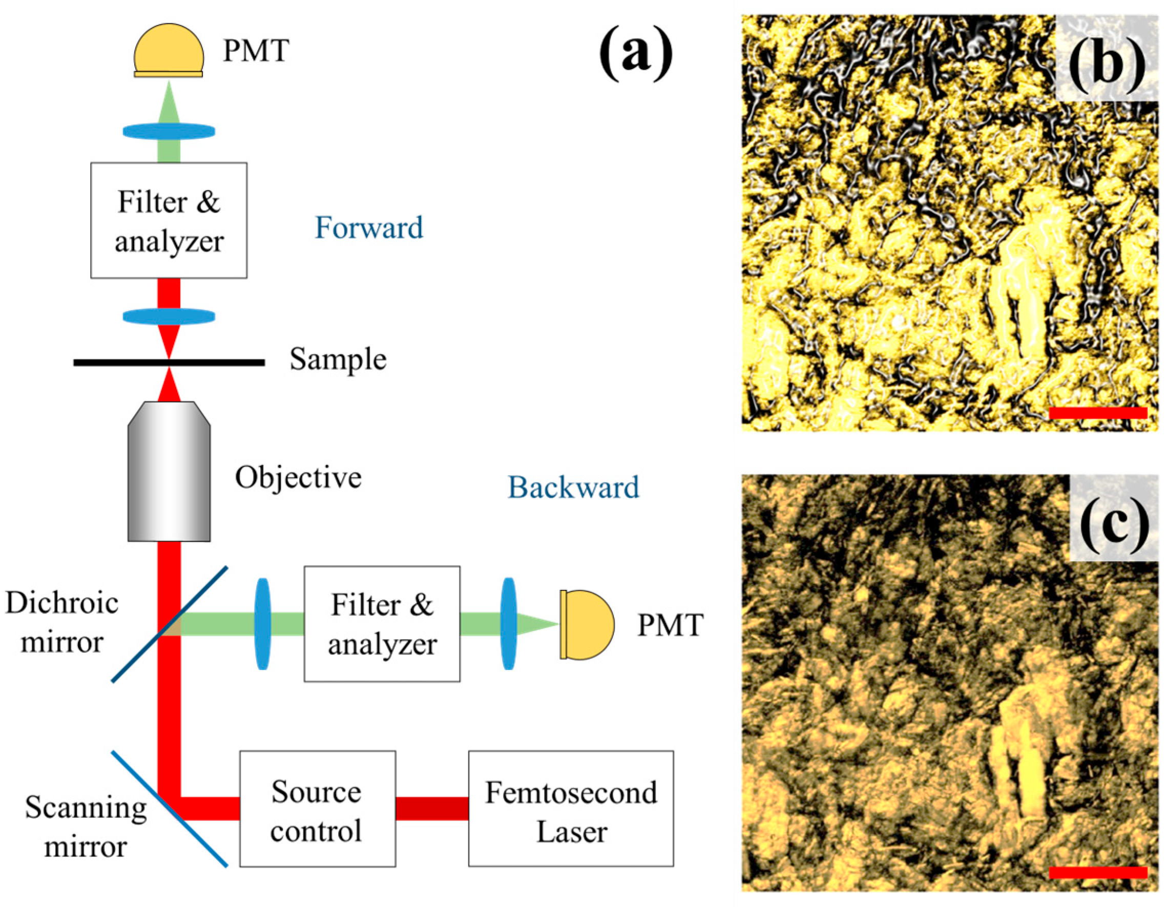 Crystals 15 00634 g002