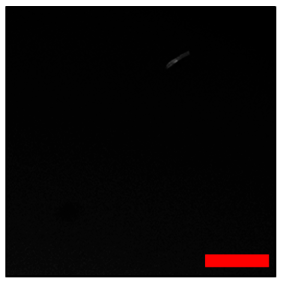 Crystals 15 00634 g004