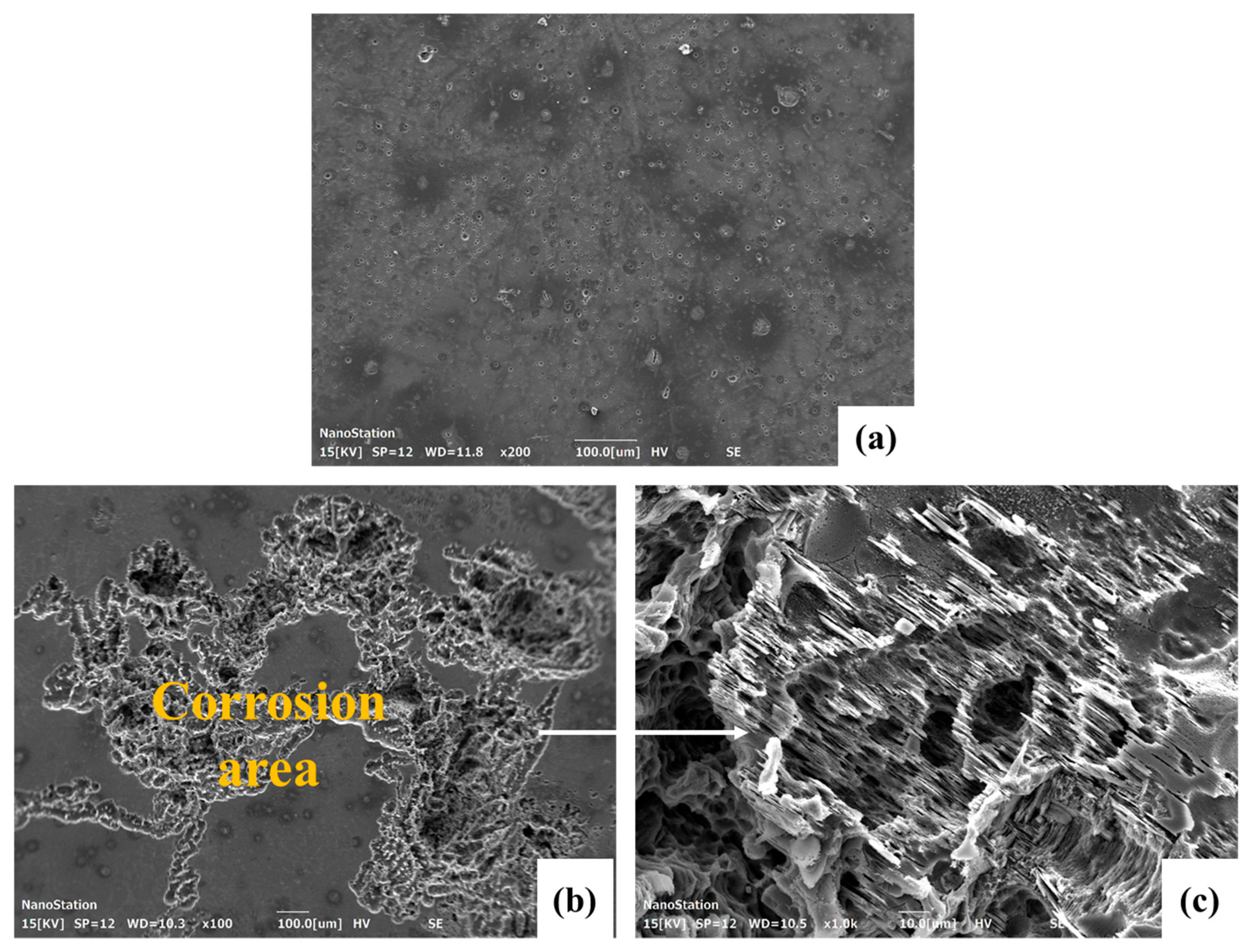 Crystals 15 00639 g010