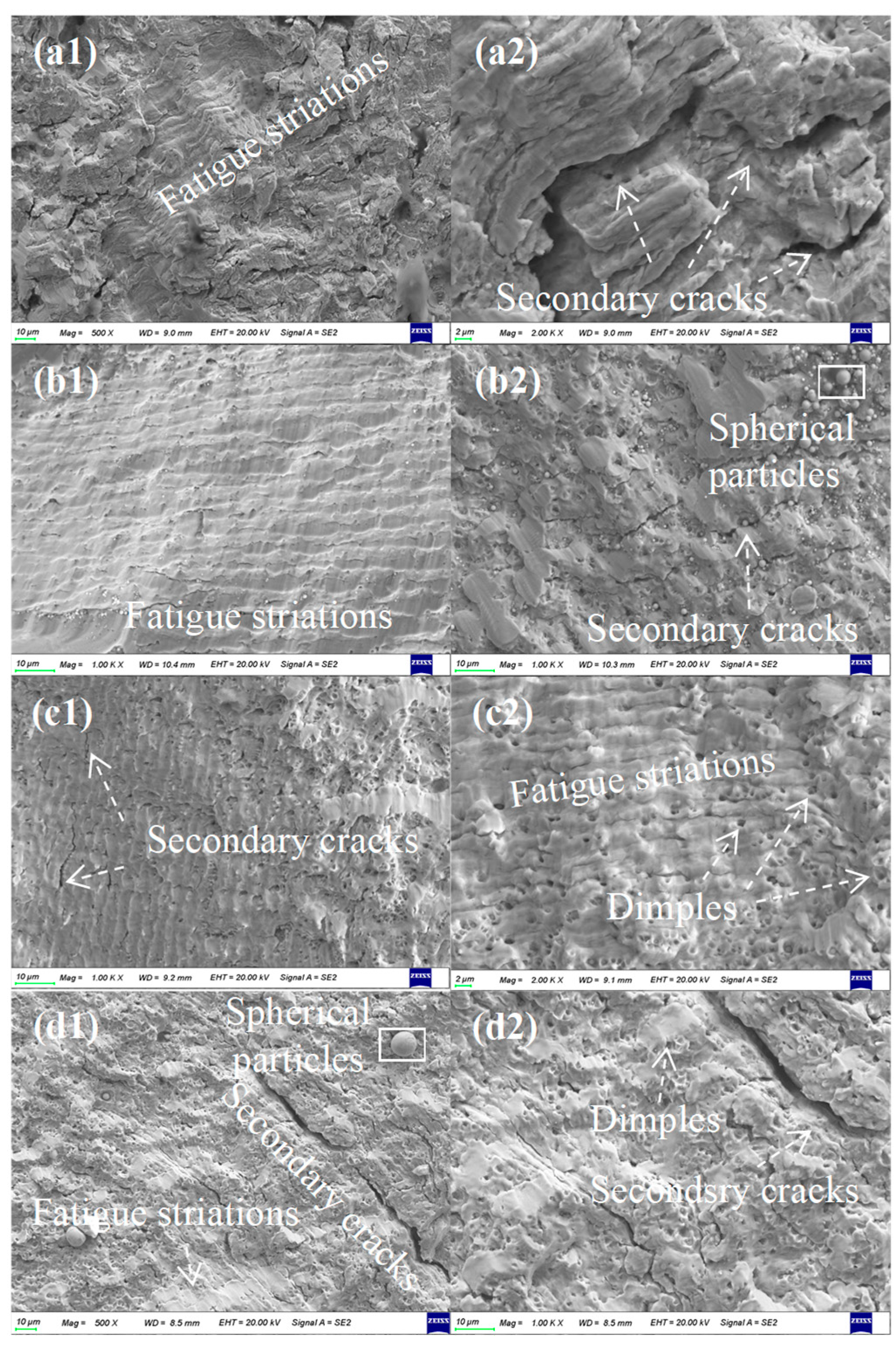 Crystals 15 00644 g012 Crystals 15 00644 g012