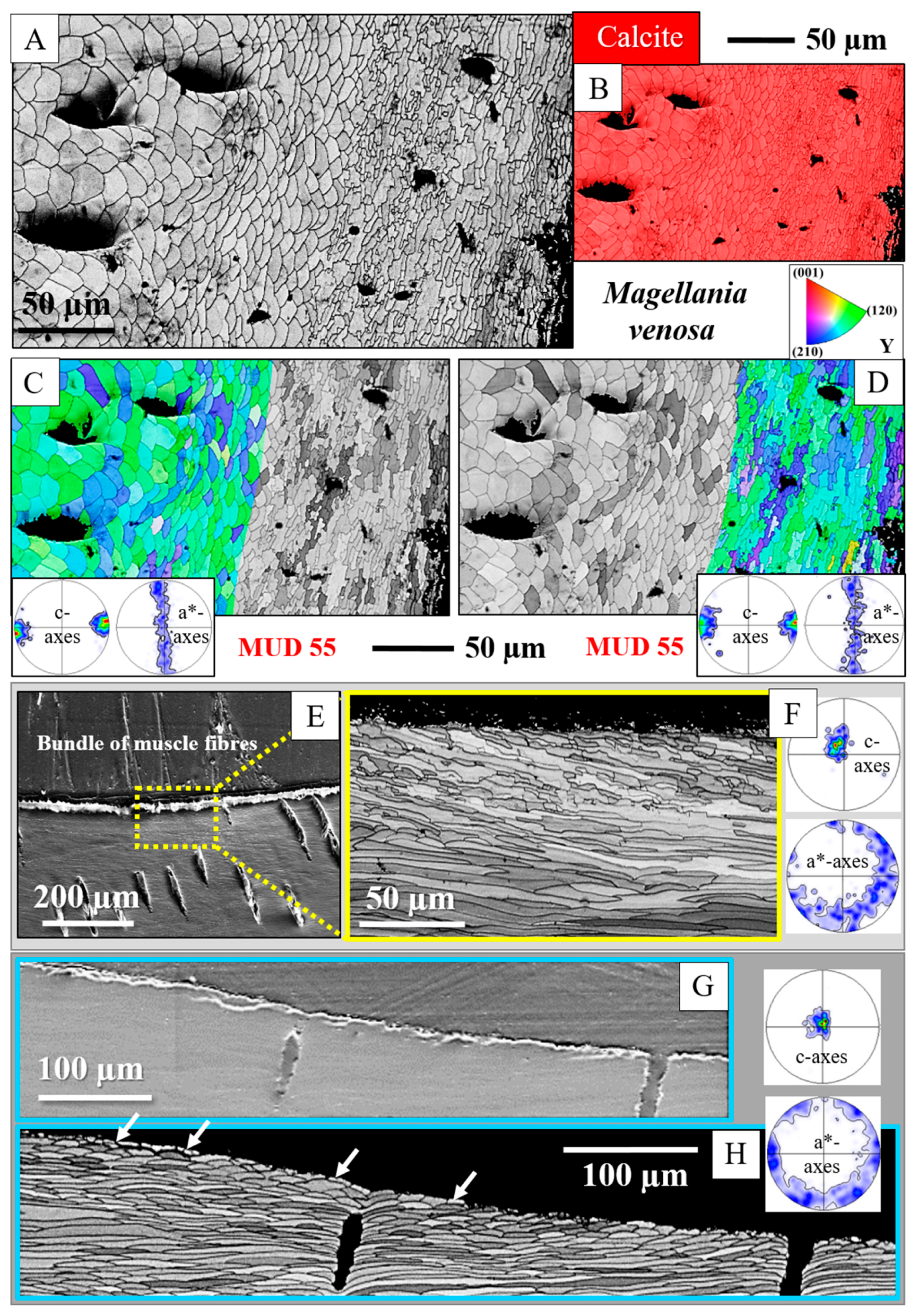 Crystals 15 00649 g009
