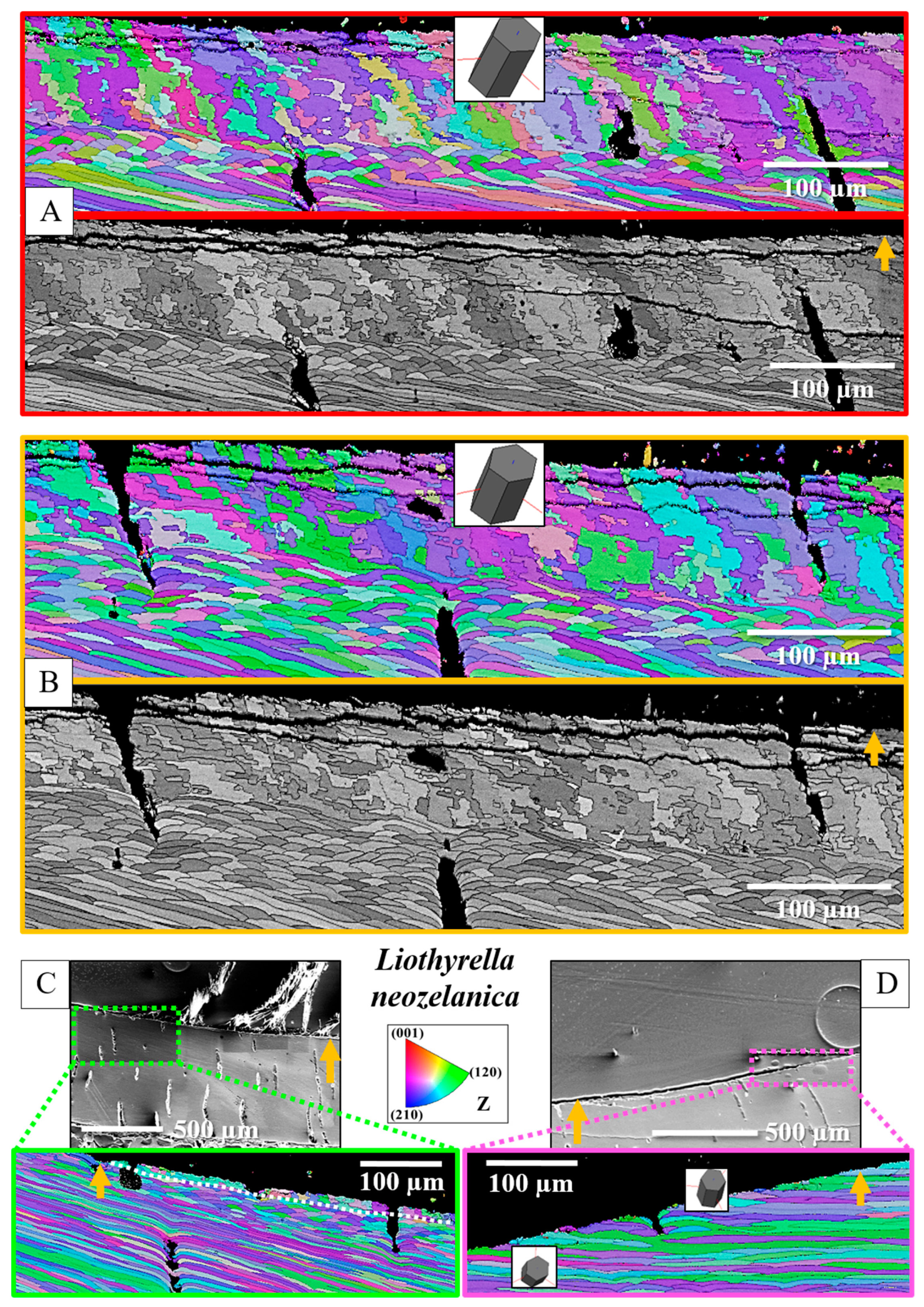 Crystals 15 00649 g011