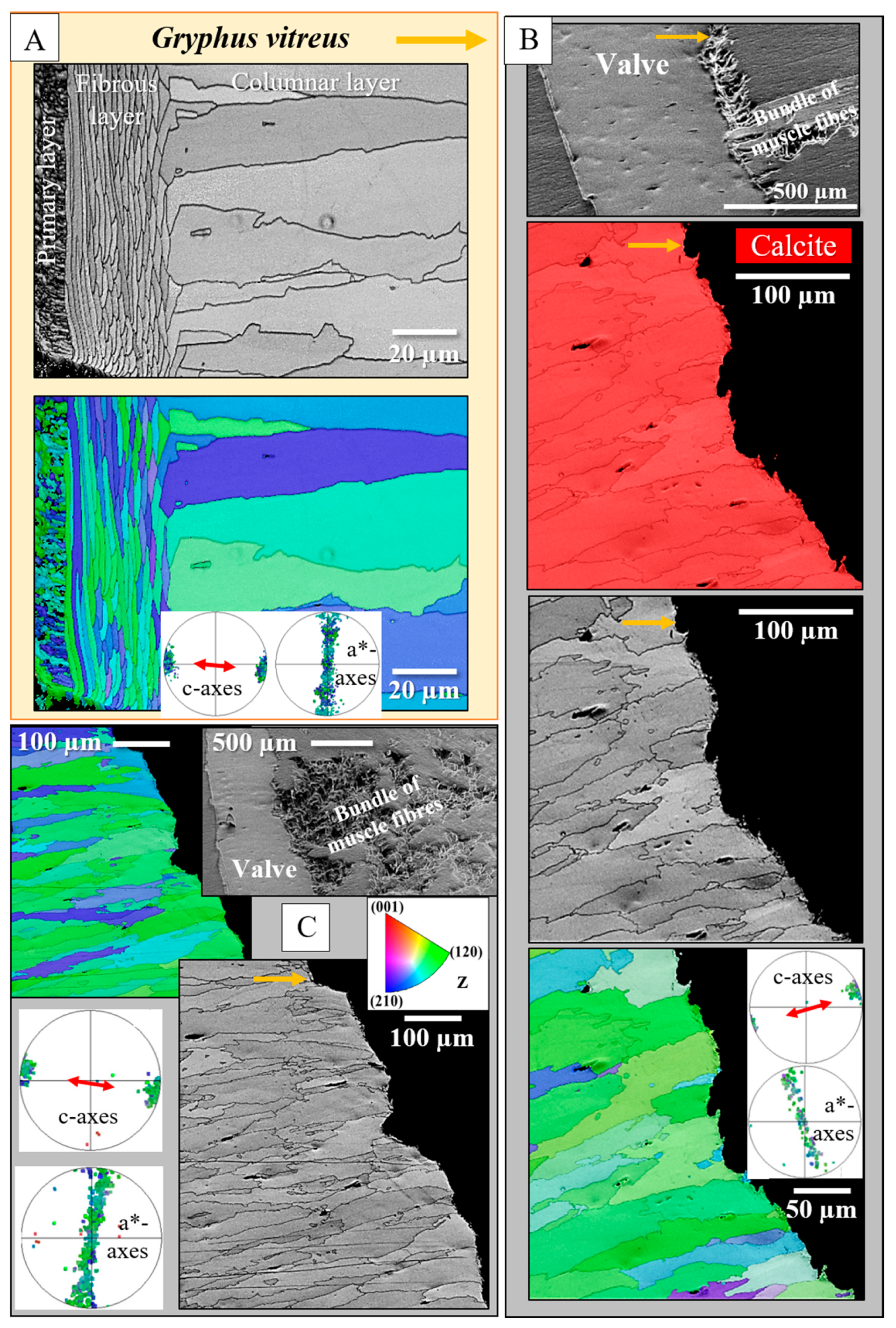 Crystals 15 00649 g012