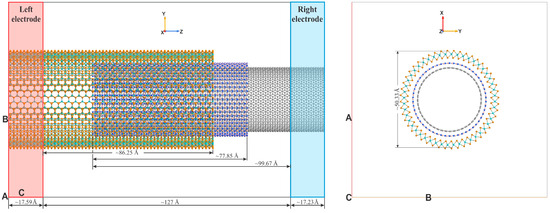 Transport Properties of One-Dimensional van der Waals