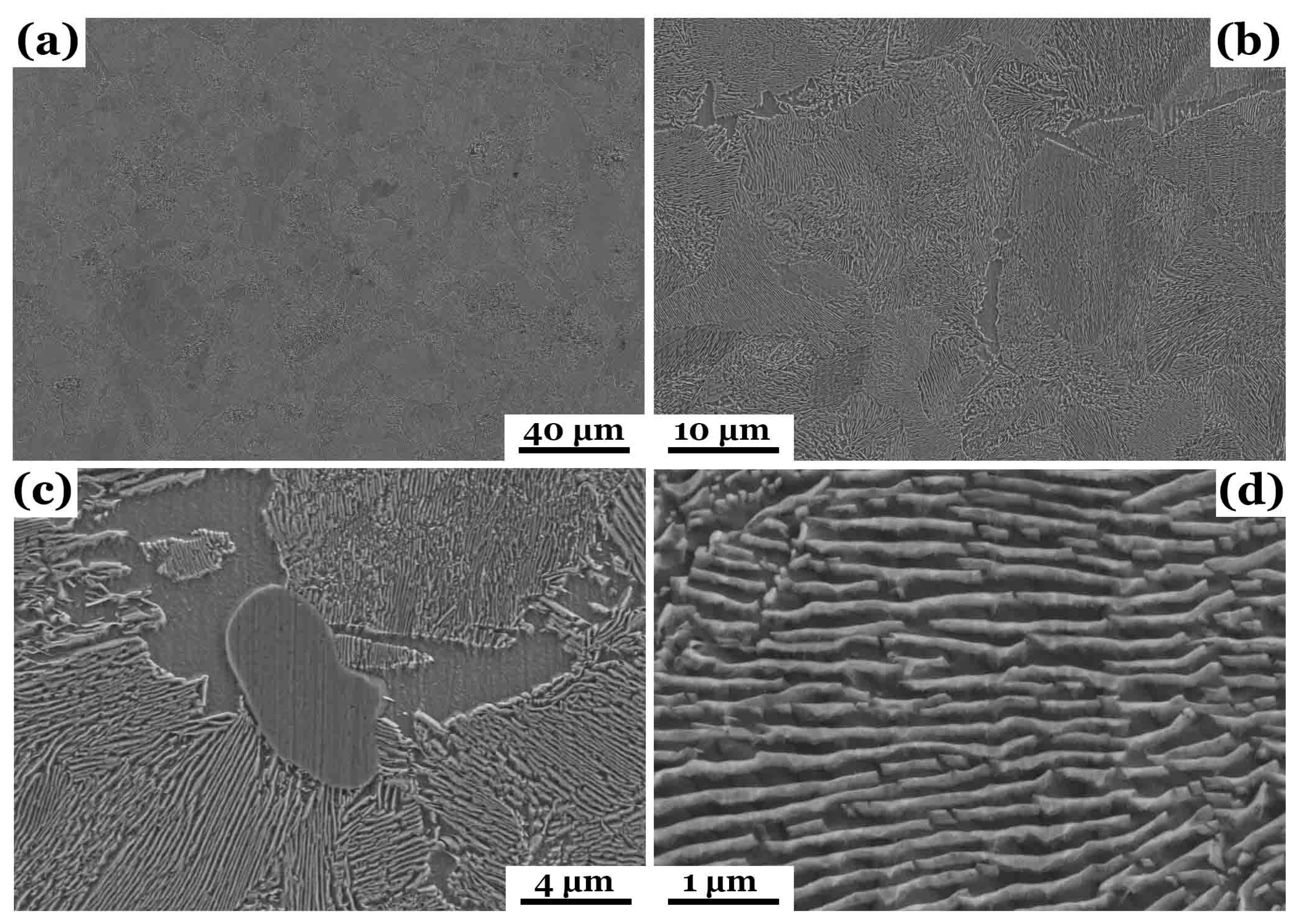 Crystals 15 00677 g006