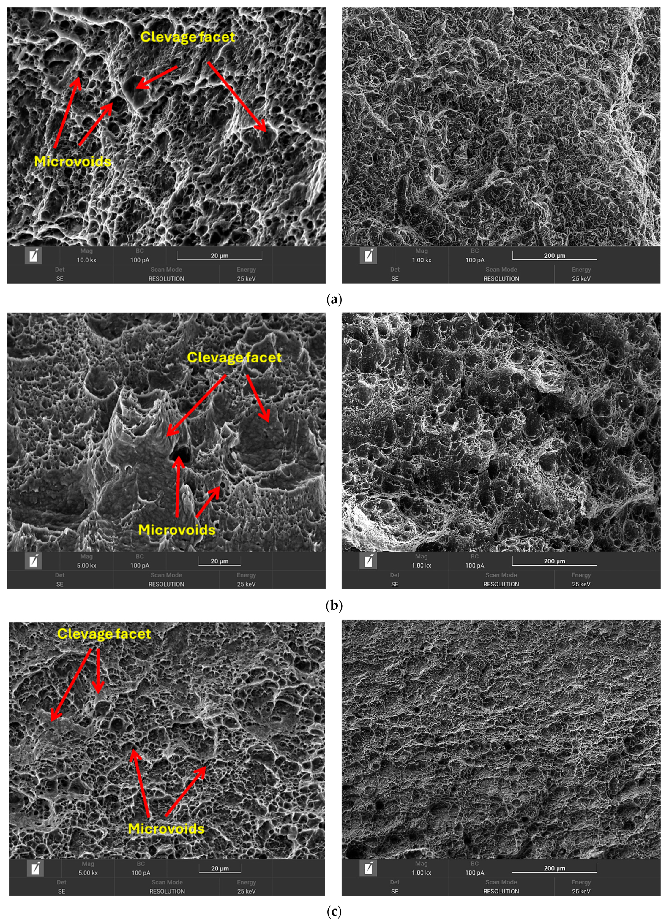 Crystals 15 00687 g011