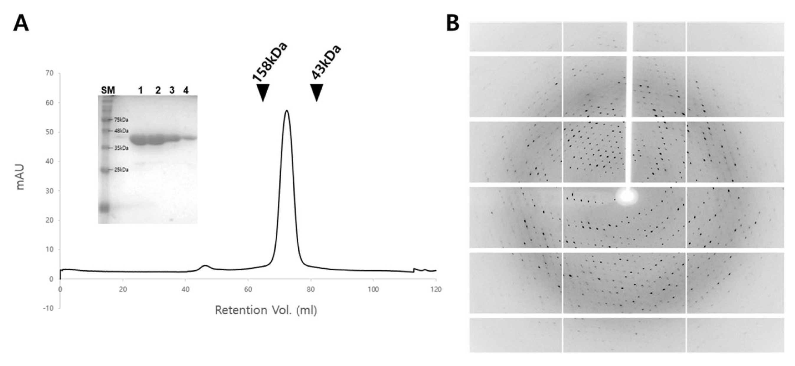 Crystals 15 00702 g001