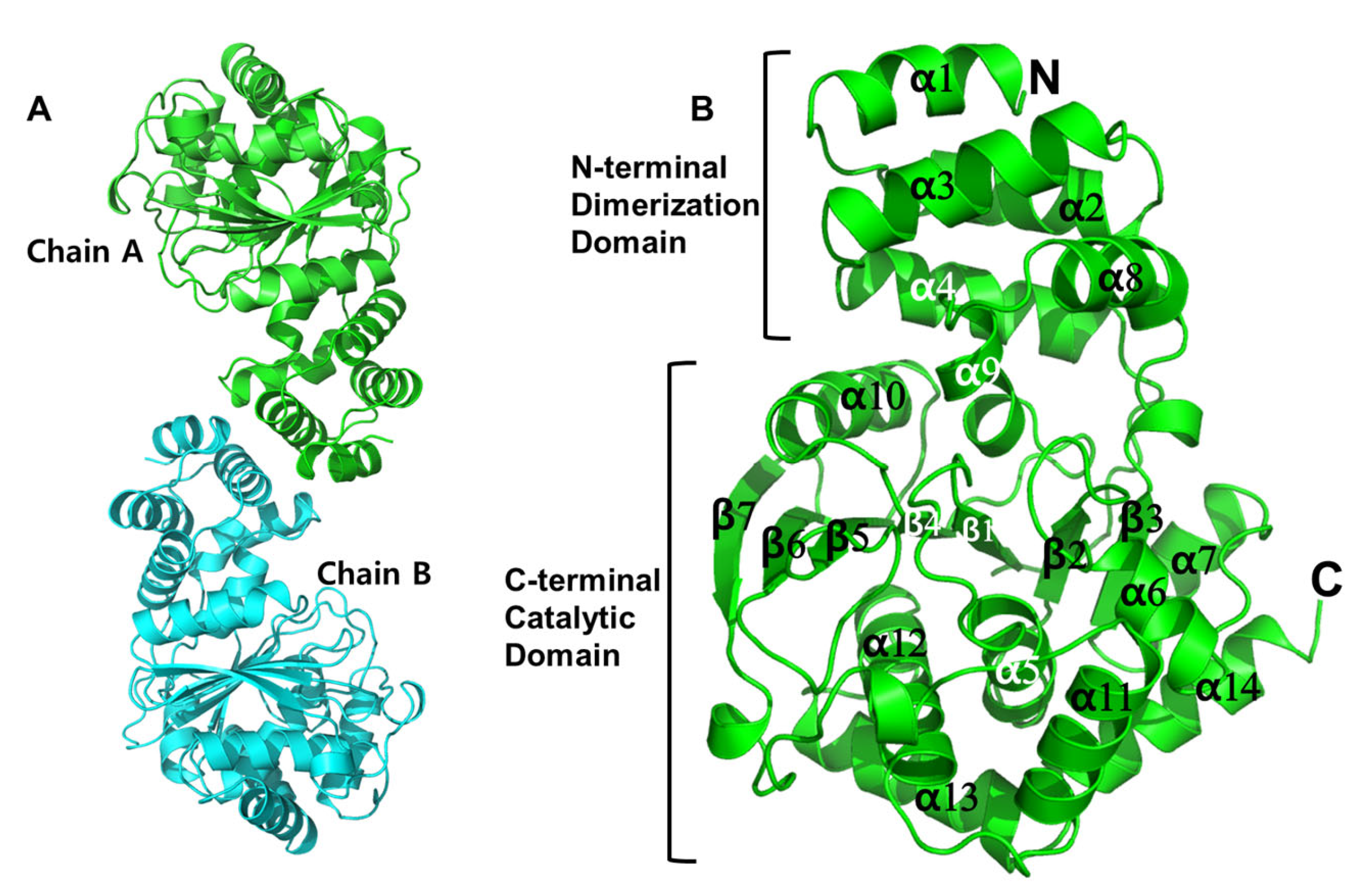 Crystals 15 00702 g002