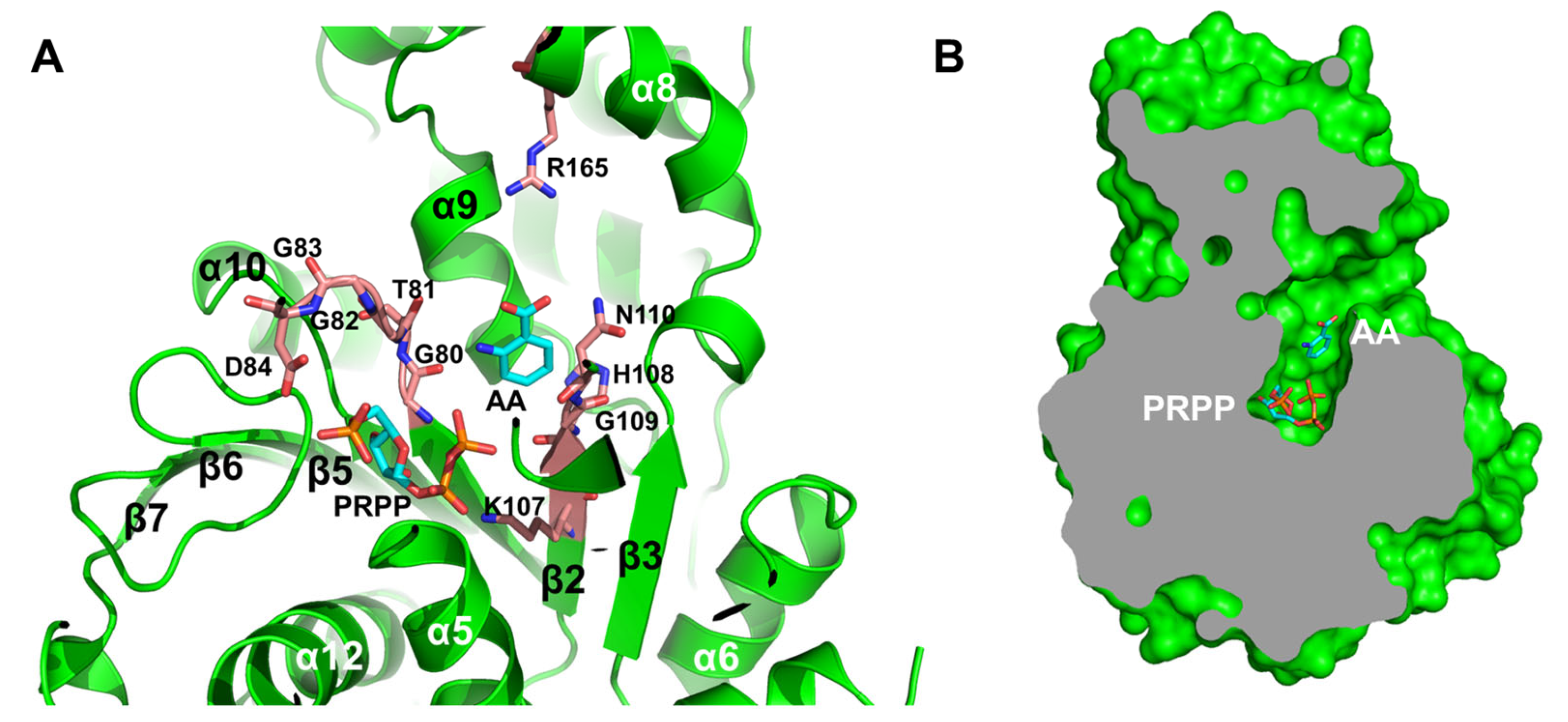 Crystals 15 00702 g004