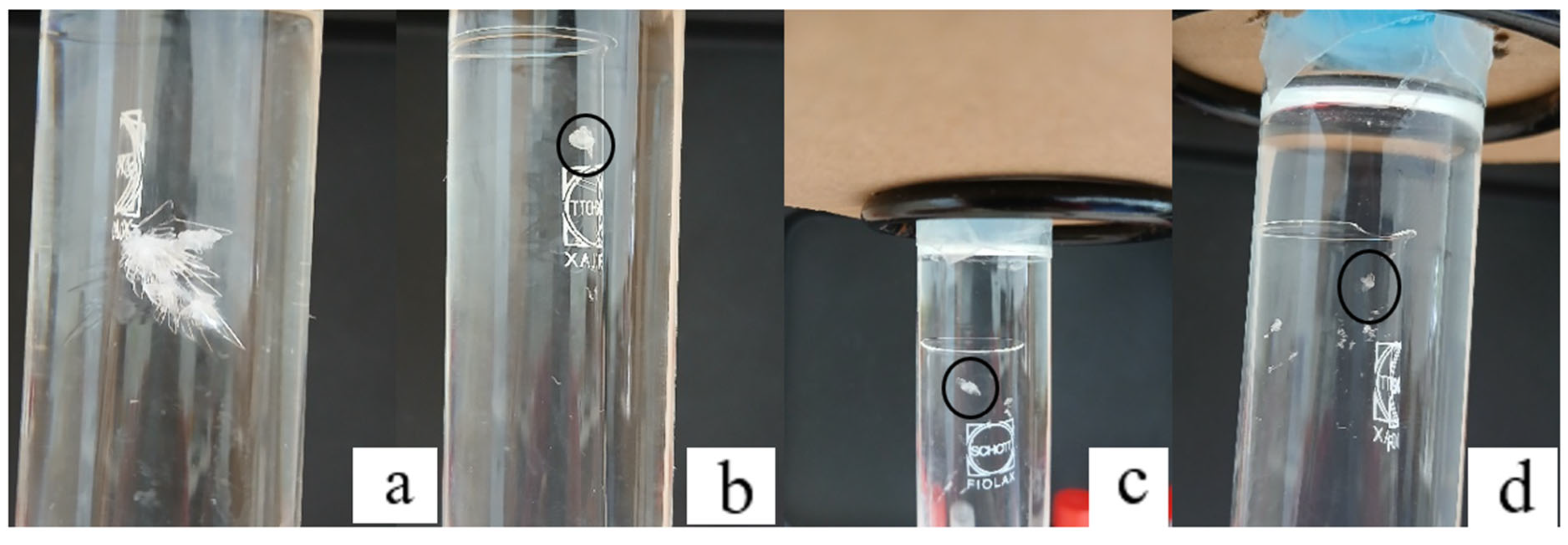 Crystals 15 00709 g006