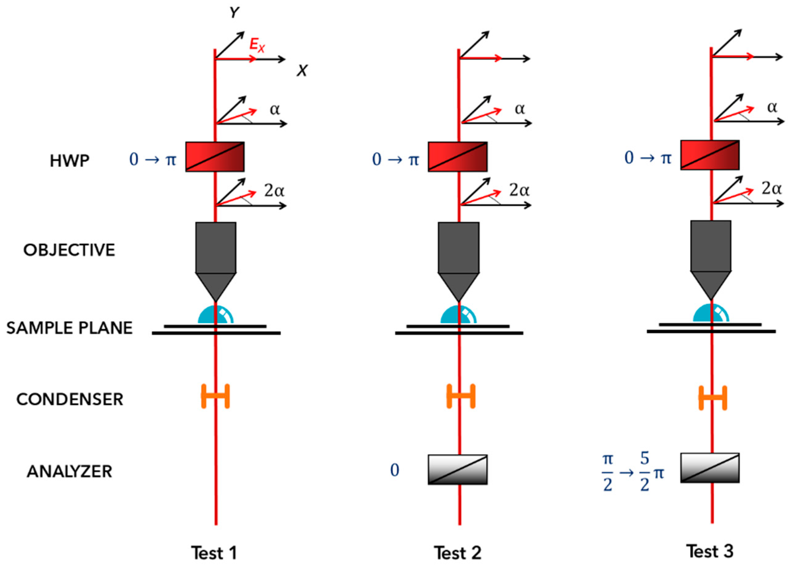 Crystals 15 00739 g004
