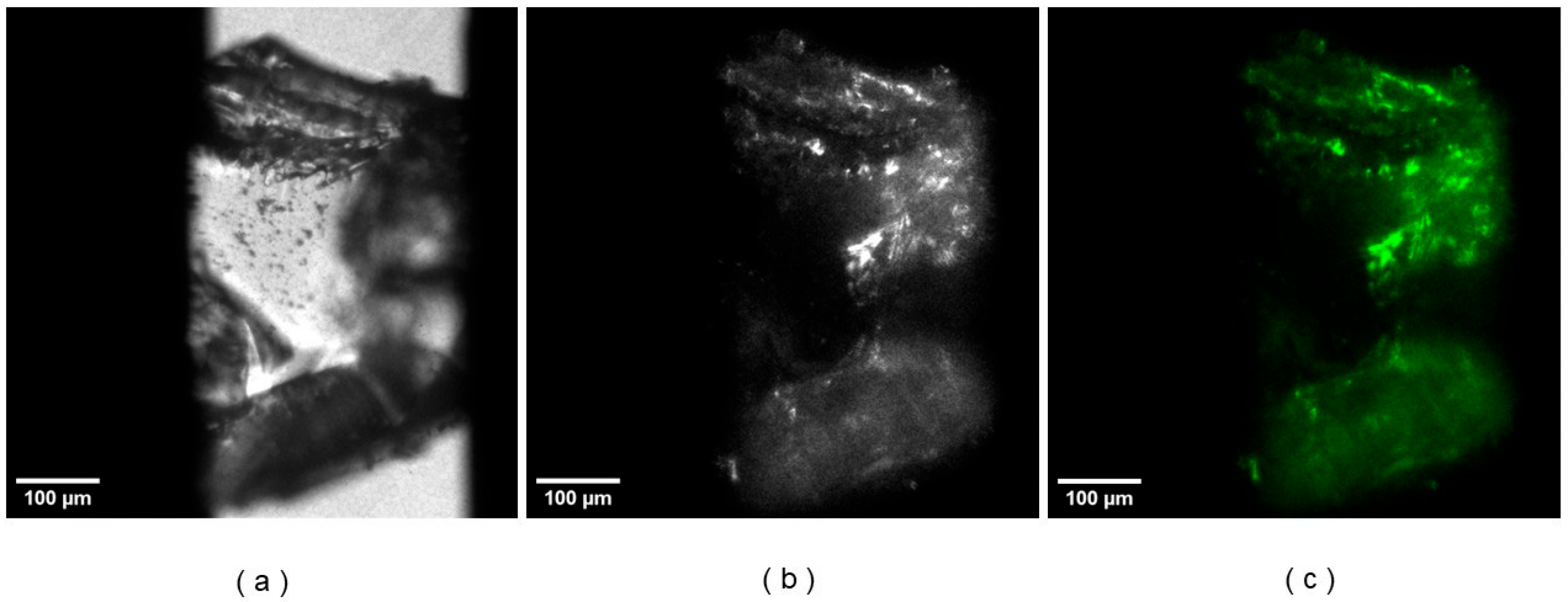 Crystals 15 00739 g007