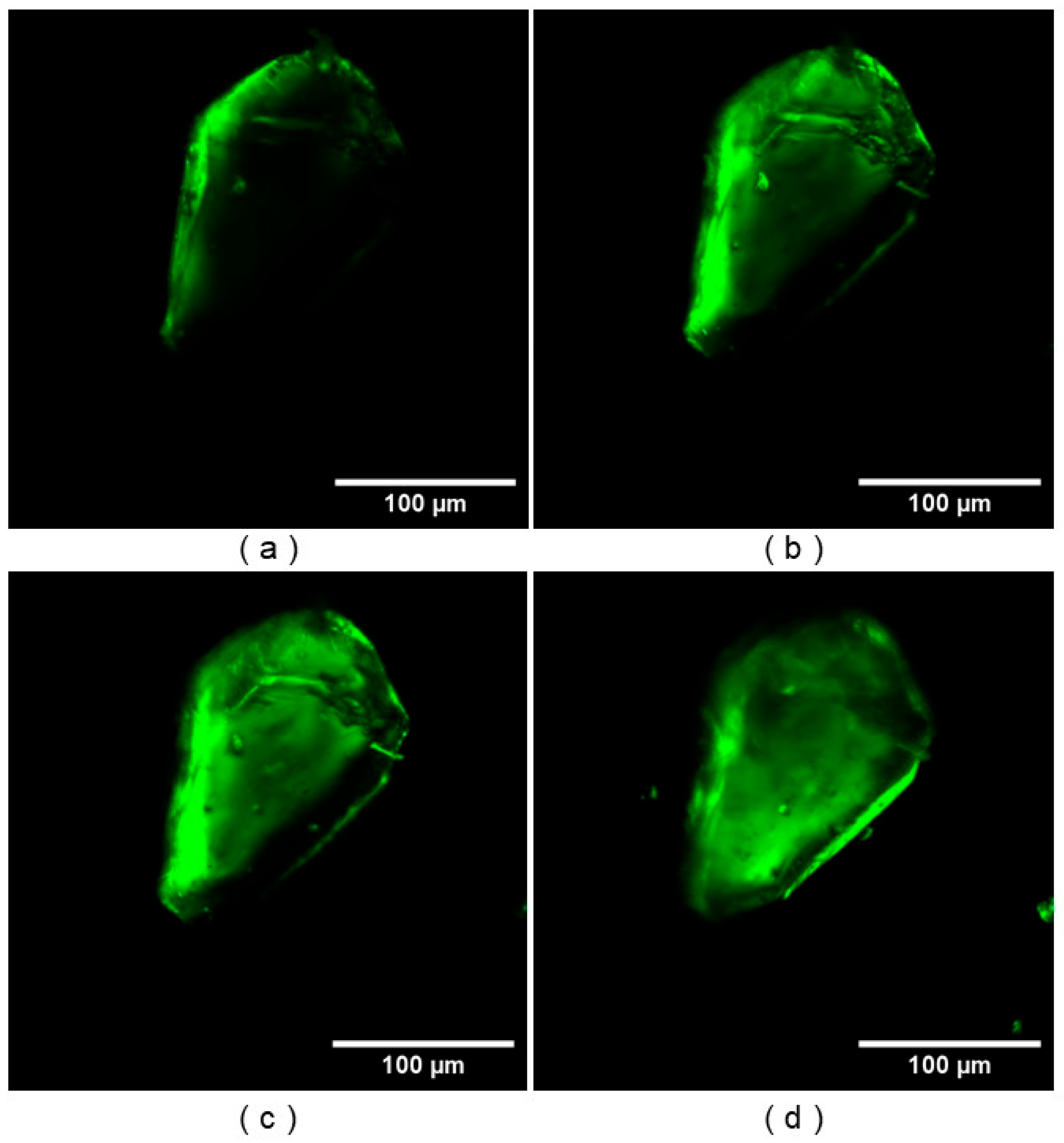 Crystals 15 00739 g009