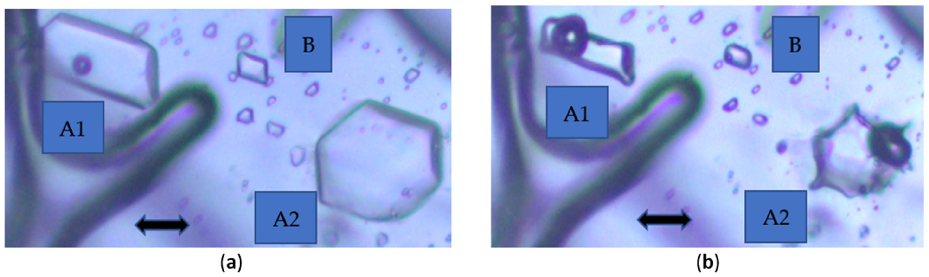 Crystals 15 00740 g004