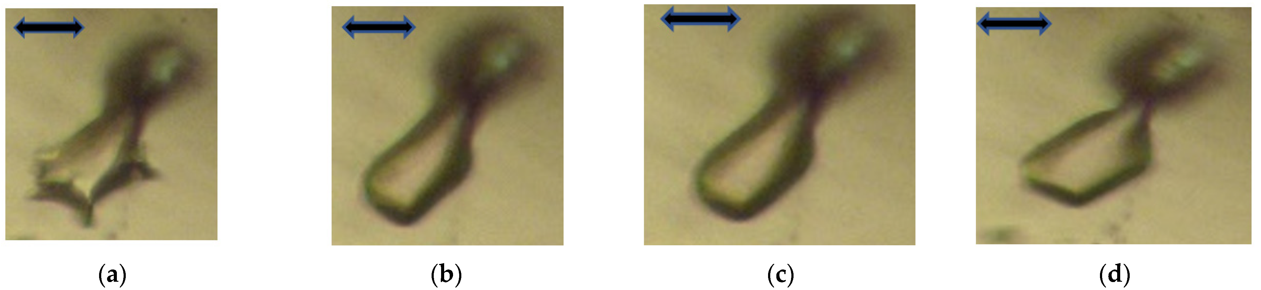 Crystals 15 00740 g006