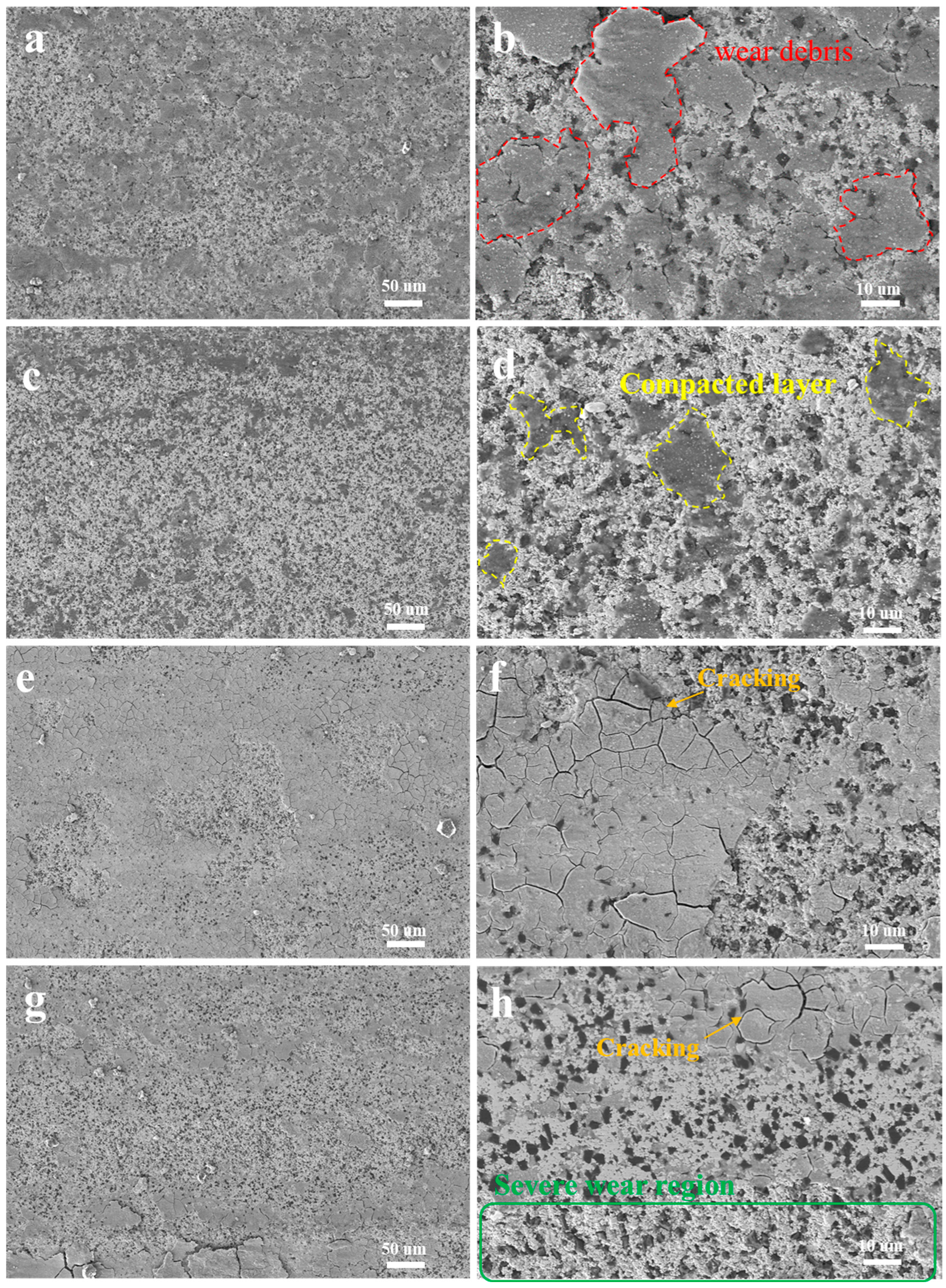 Crystals 15 00760 g007 Crystals 15 00760 g007
