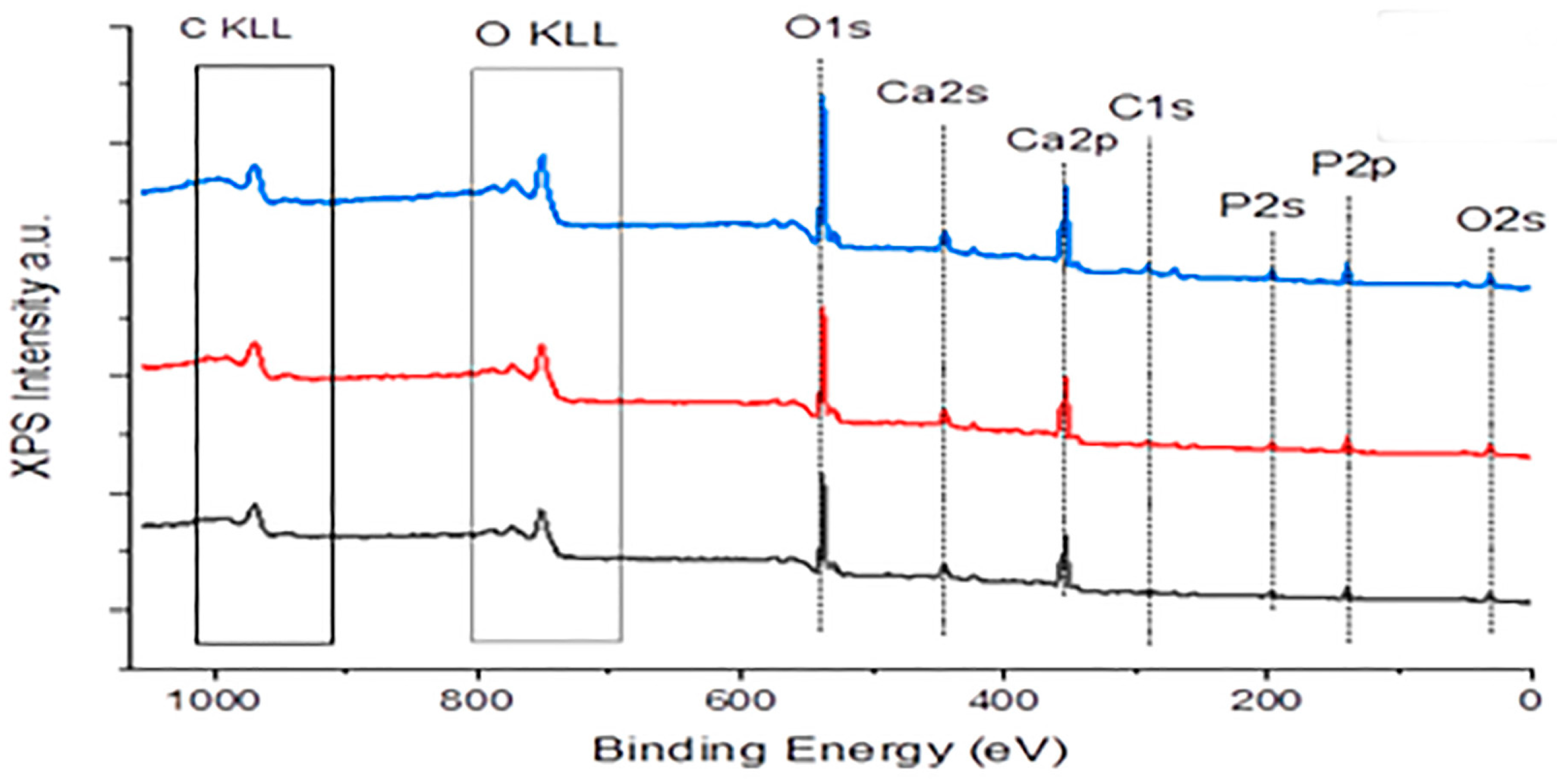 Crystals 15 00790 g006