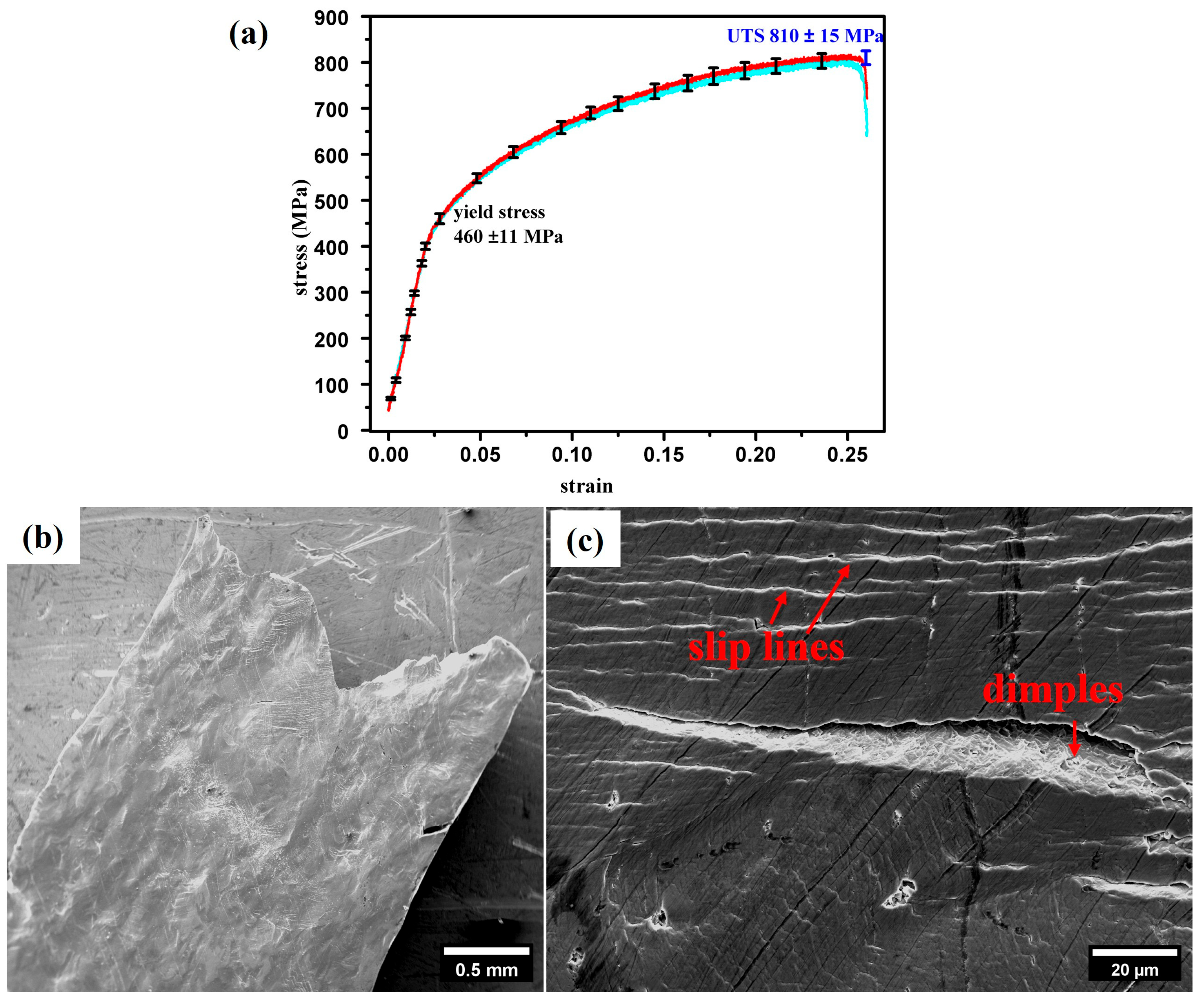 Crystals 15 00792 g003 Crystals 15 00792 g003
