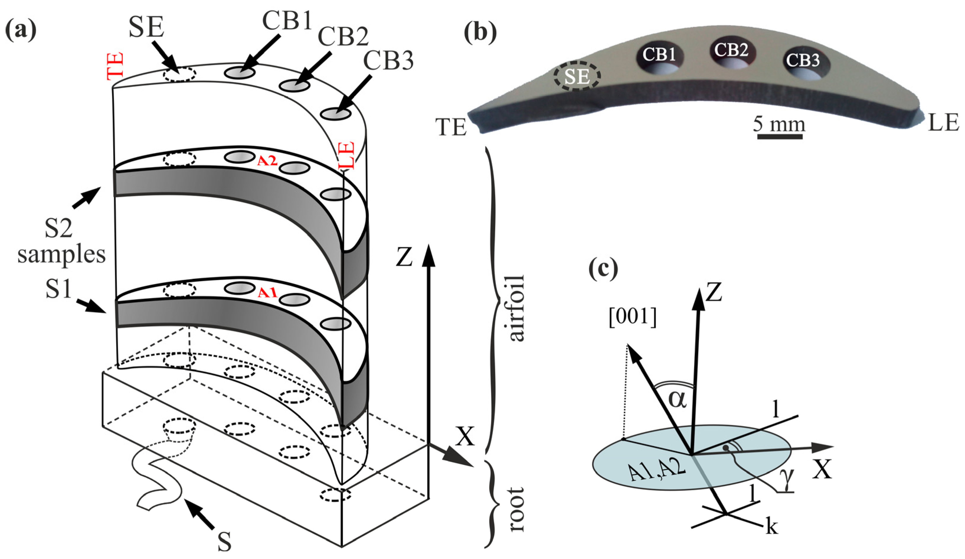 Crystals 15 00806 g001