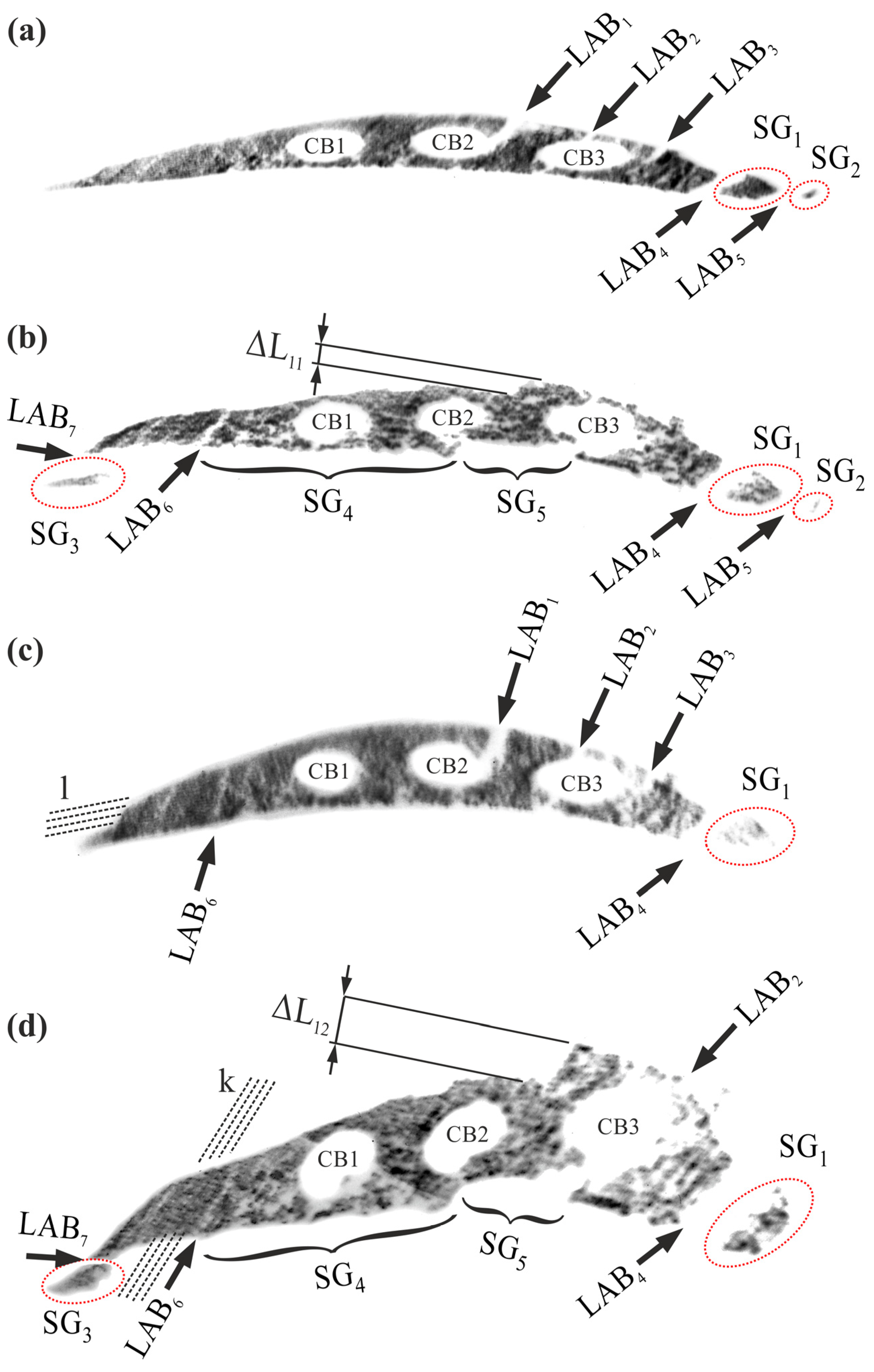 Crystals 15 00806 g012