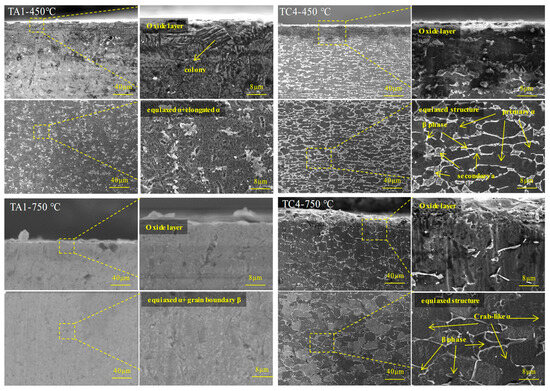 4.1-②専用ページ Analysis of High Temperature Oxidation Process and Mechanism of