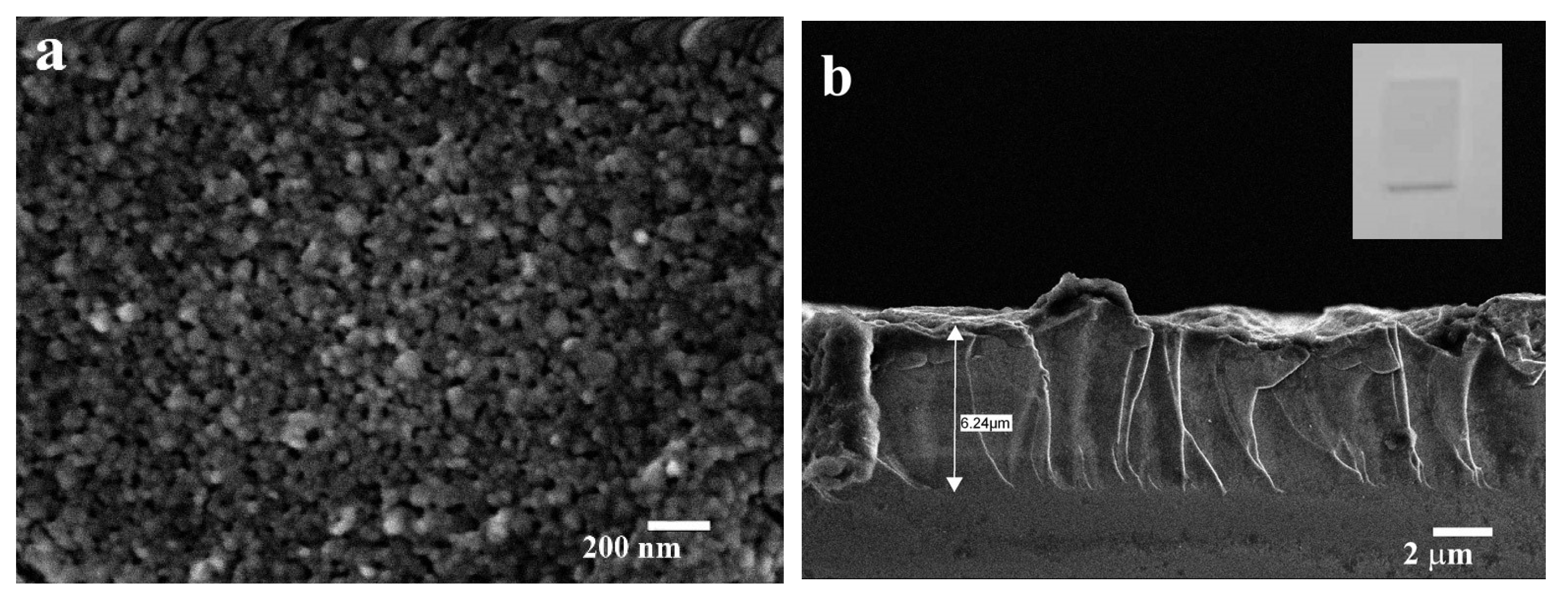 Crystals 15 00820 g005