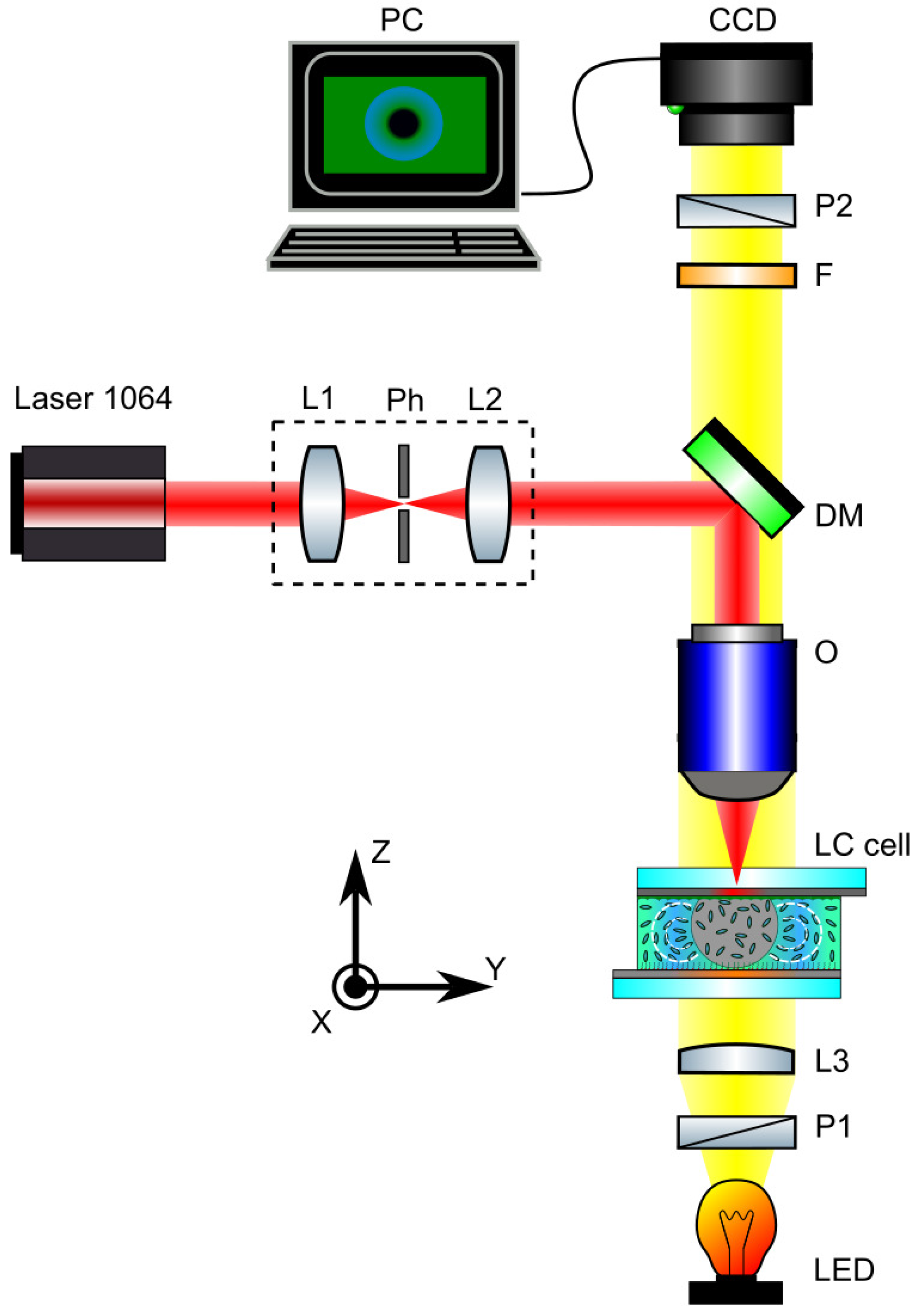 Crystals 15 00822 g002
