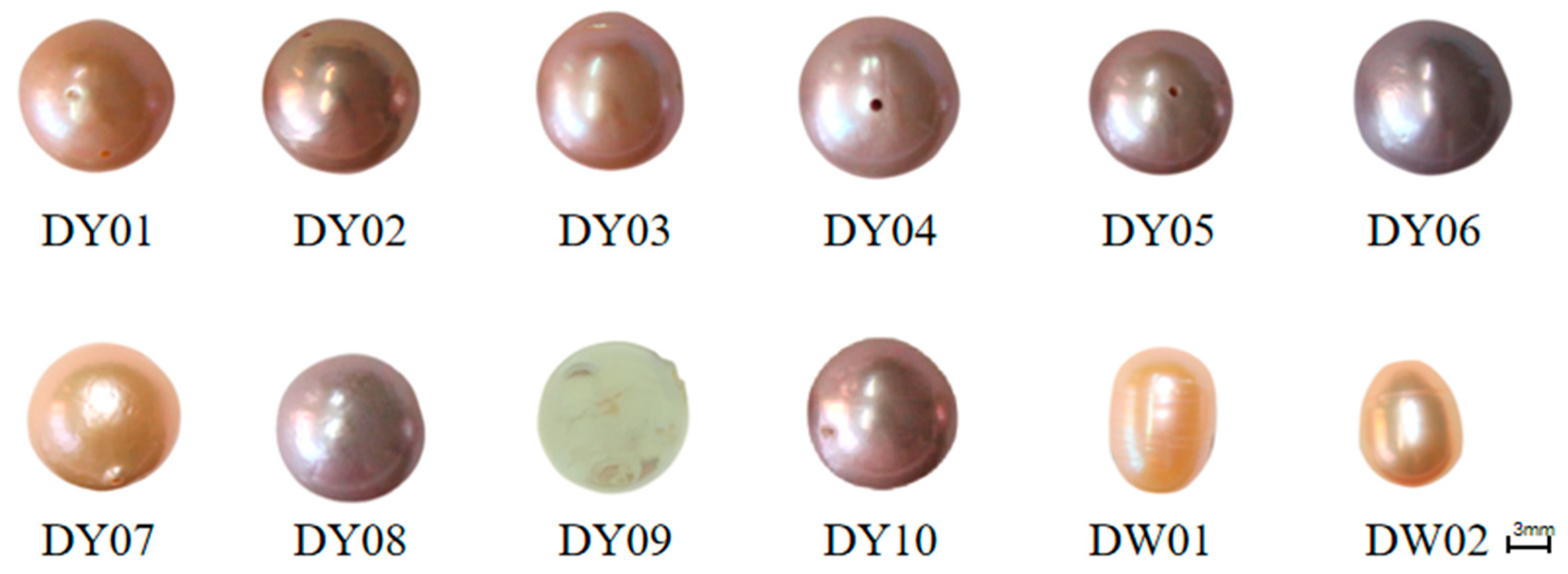 Crystals 15 00824 g001