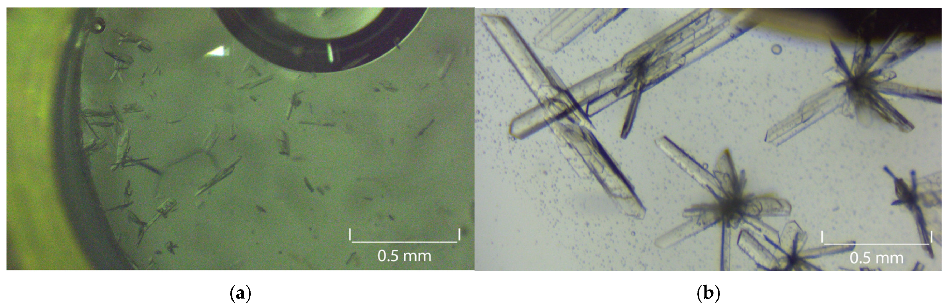 Crystals 15 00825 g005