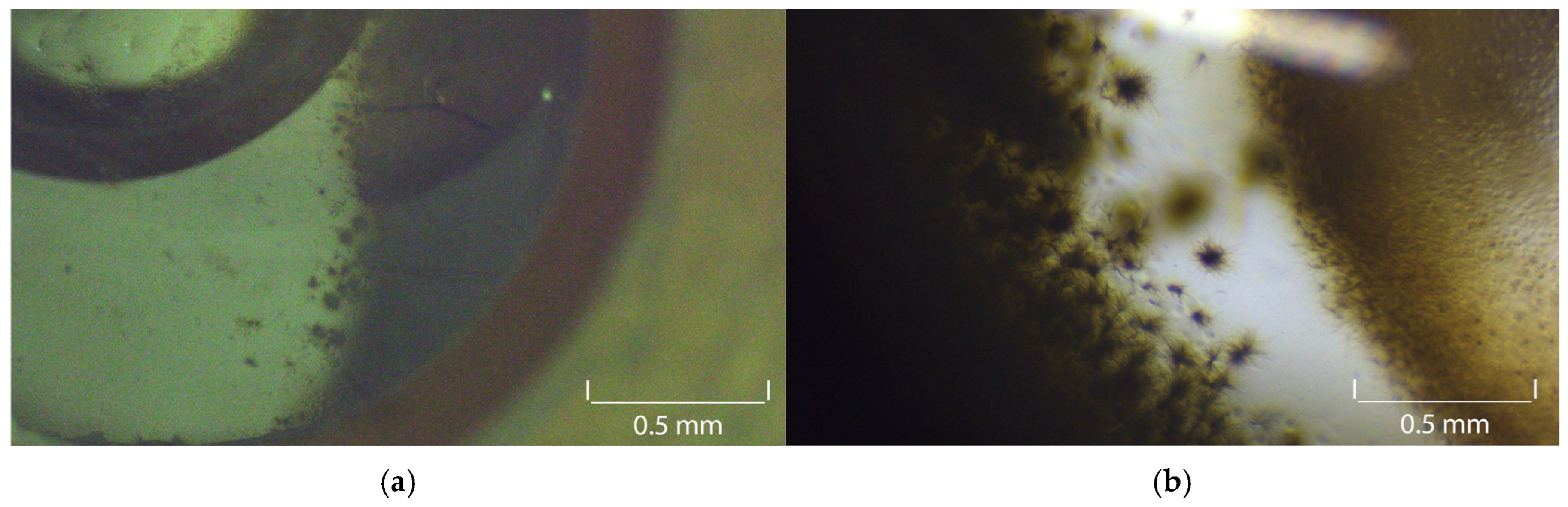 Crystals 15 00825 g006