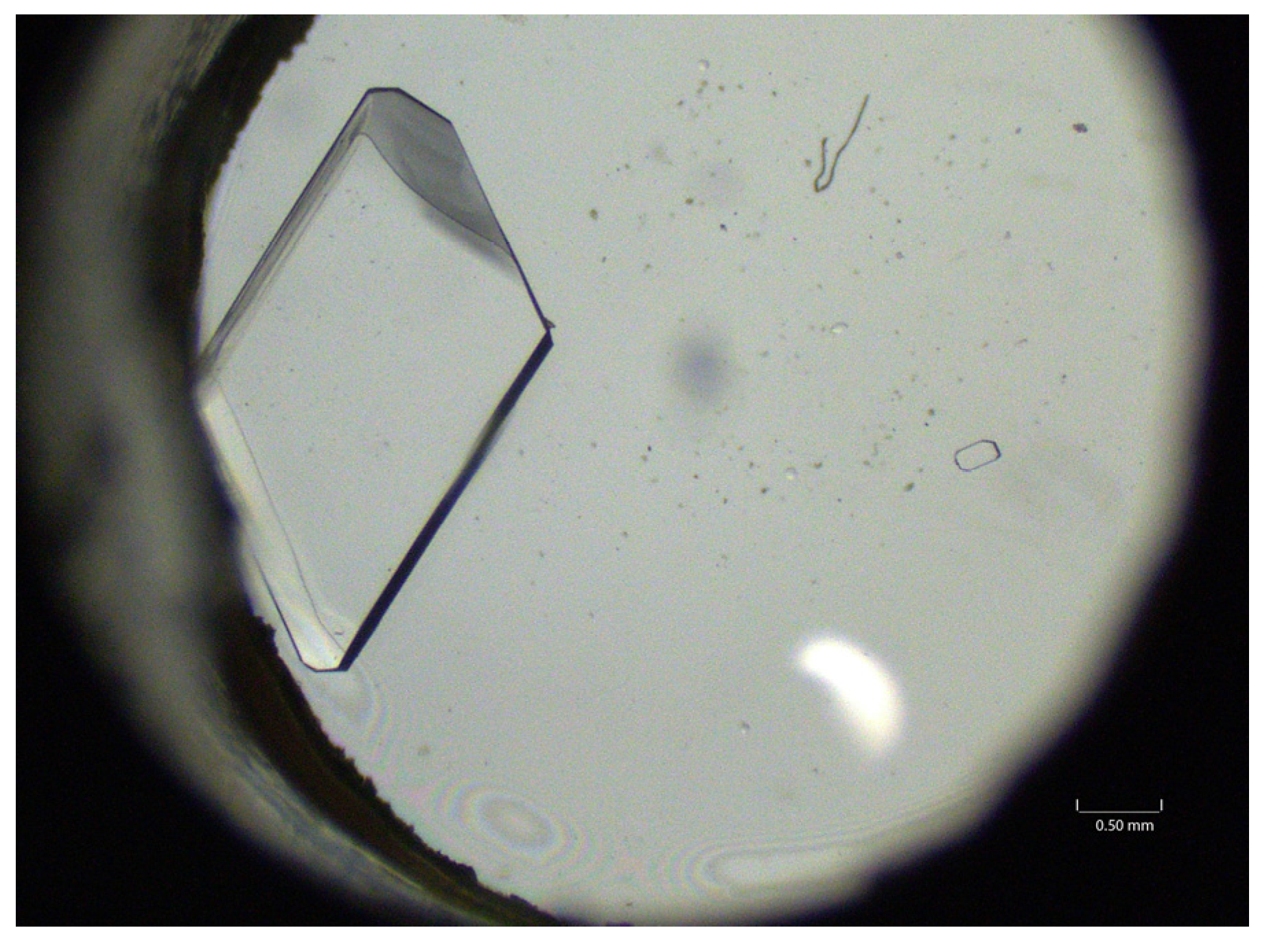 Crystals 15 00825 g008