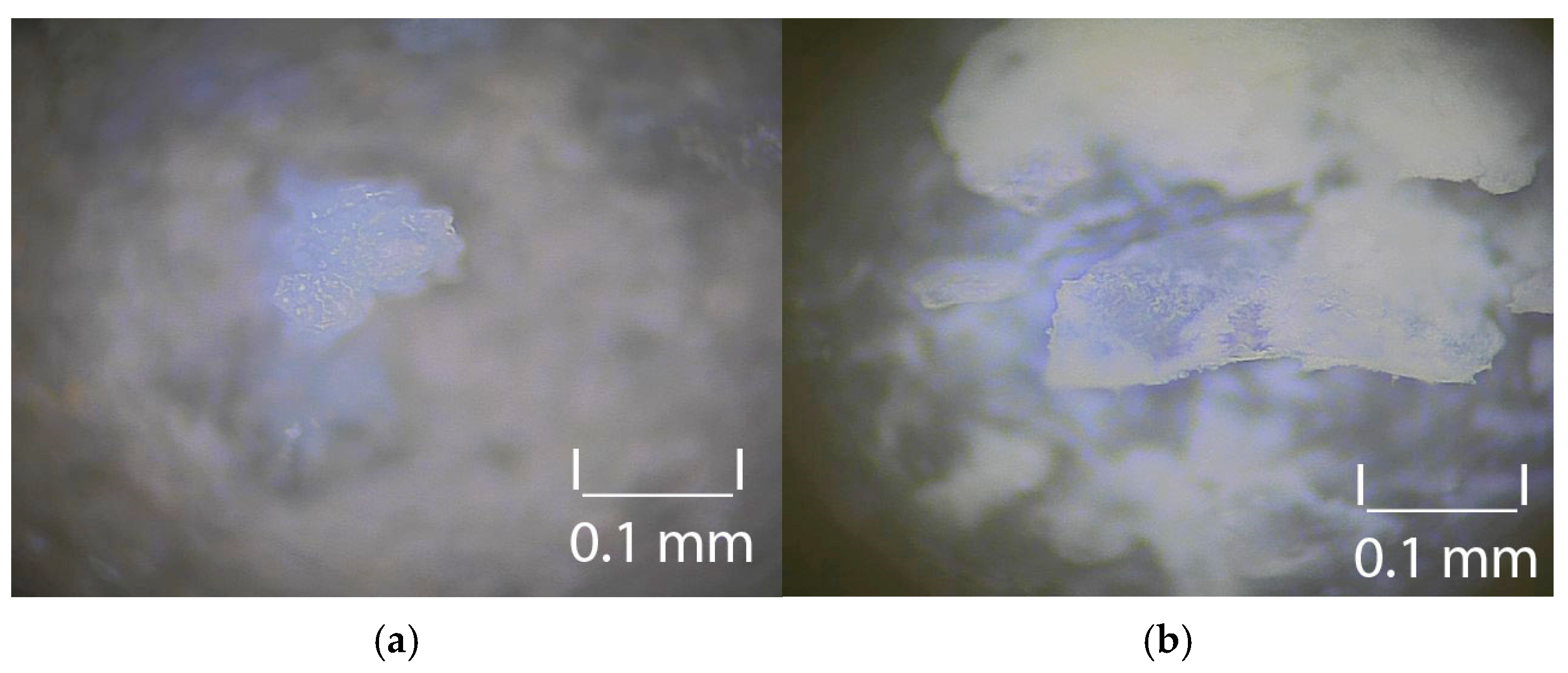 Crystals 15 00825 g013