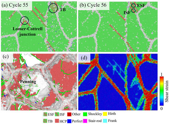 Microvoids Enhance the Low-Cycle Fatigue Resistance of TiAl Alloys