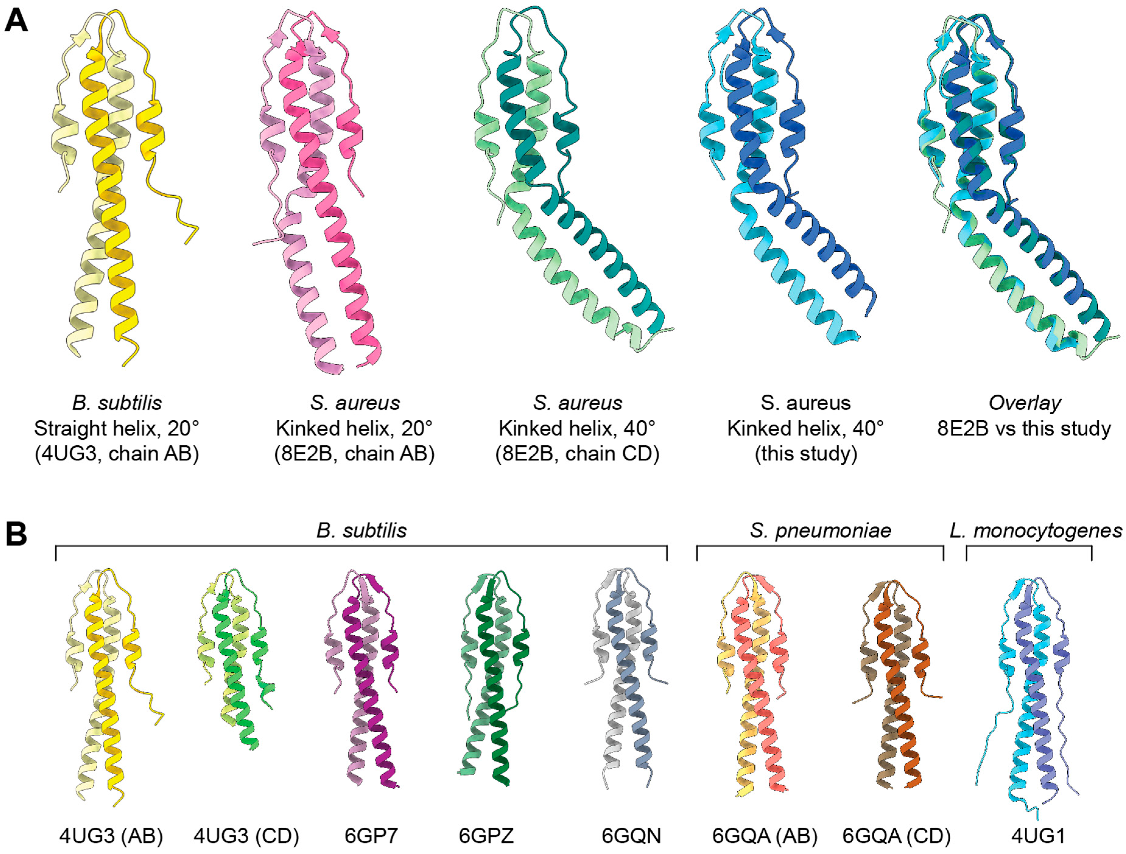 Crystals 15 00867 g001 Crystals 15 00867 g001
