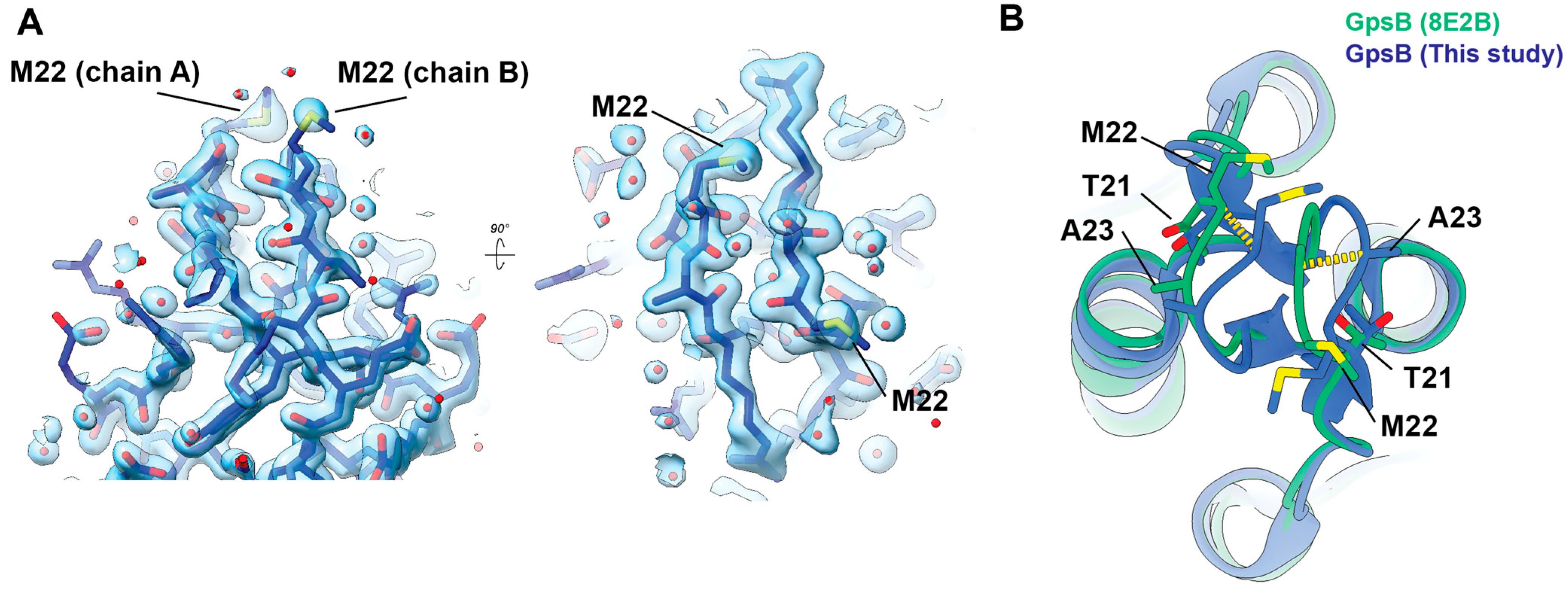 Crystals 15 00867 g003 Crystals 15 00867 g003