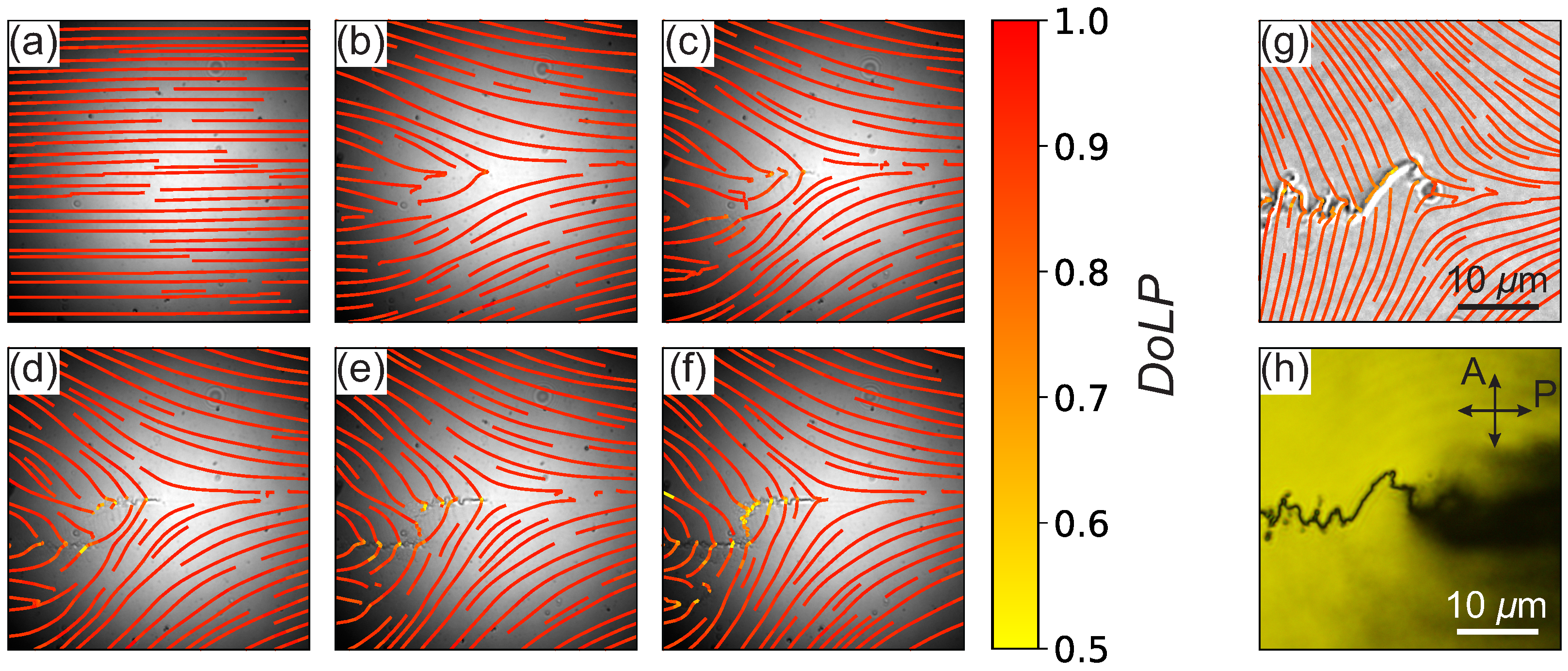 Crystals 15 00877 g003