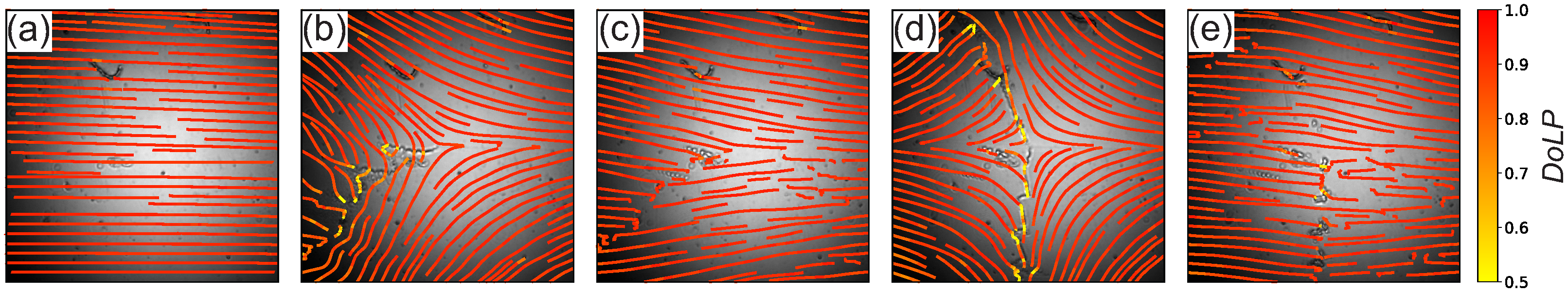 Crystals 15 00877 g004