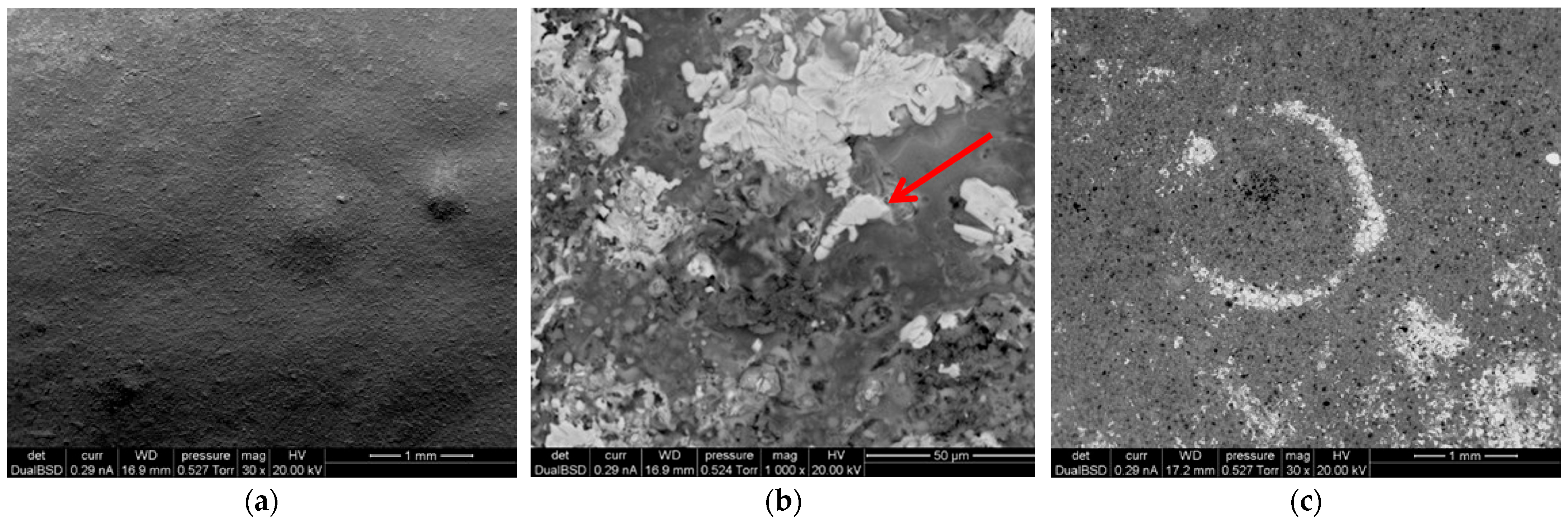 Crystals 15 00885 g003