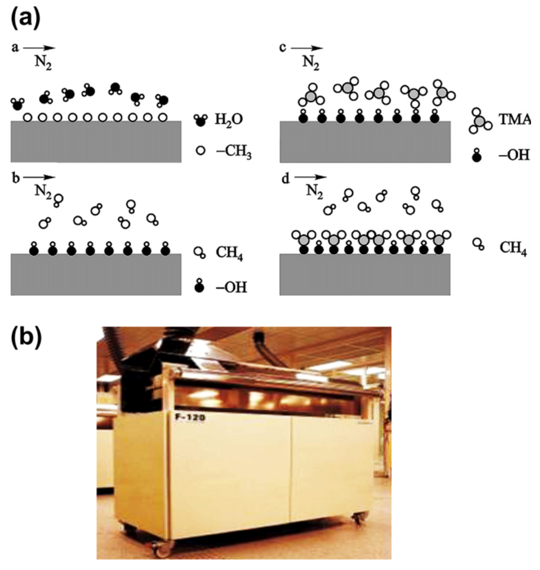 Crystals 15 00887 g005 Crystals 15 00887 g005