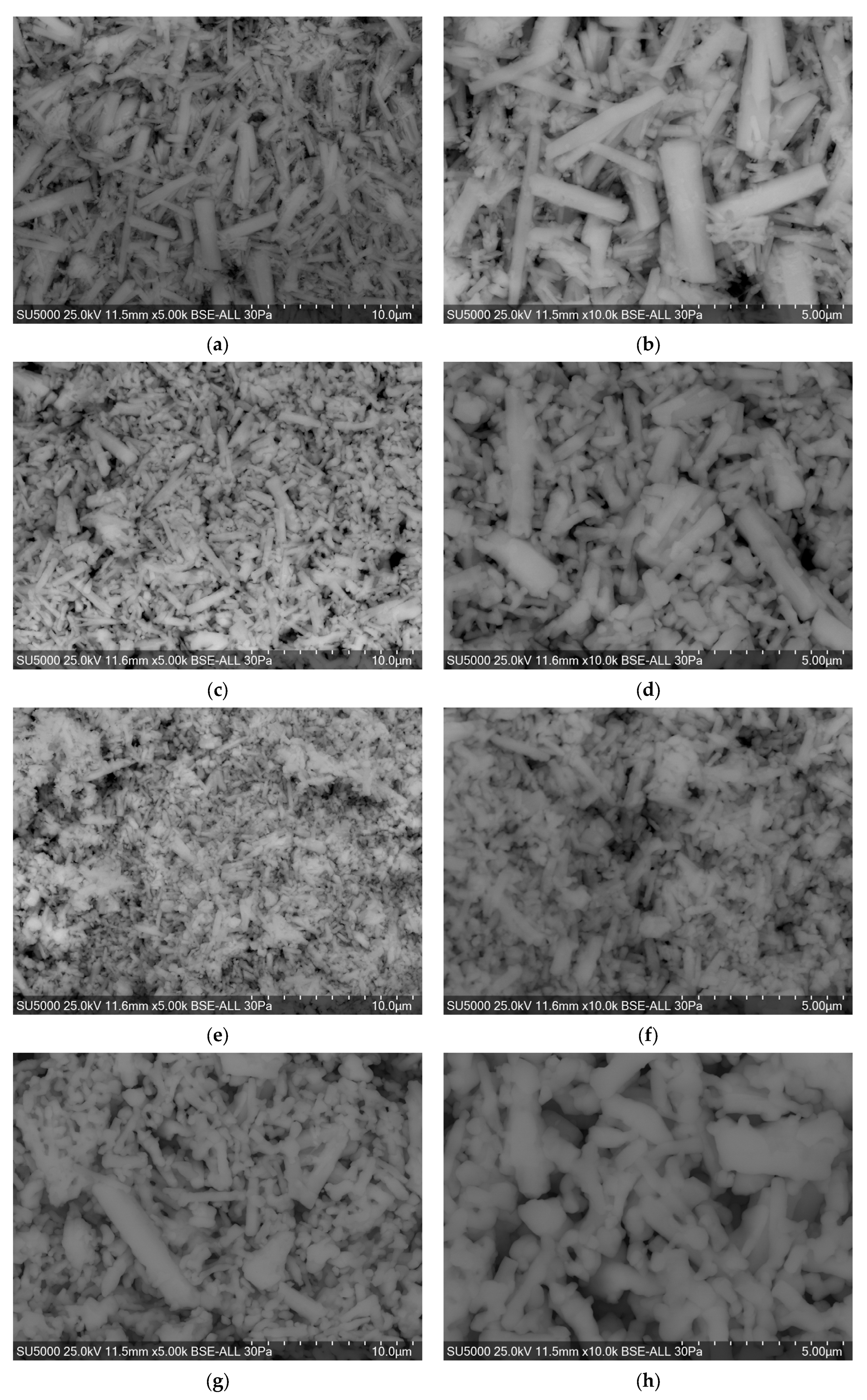 Crystals 15 00890 g005