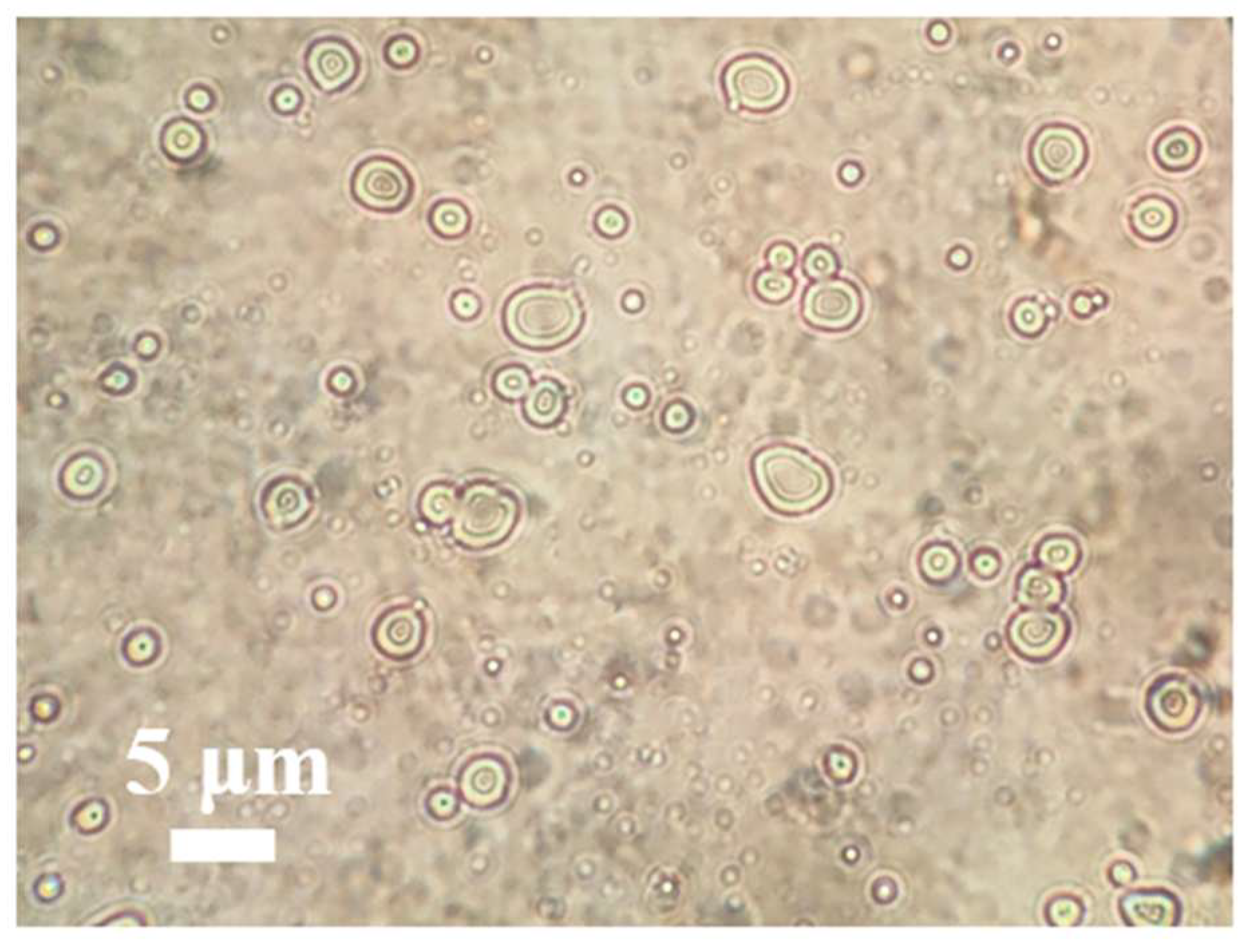 Crystals 15 00891 g016