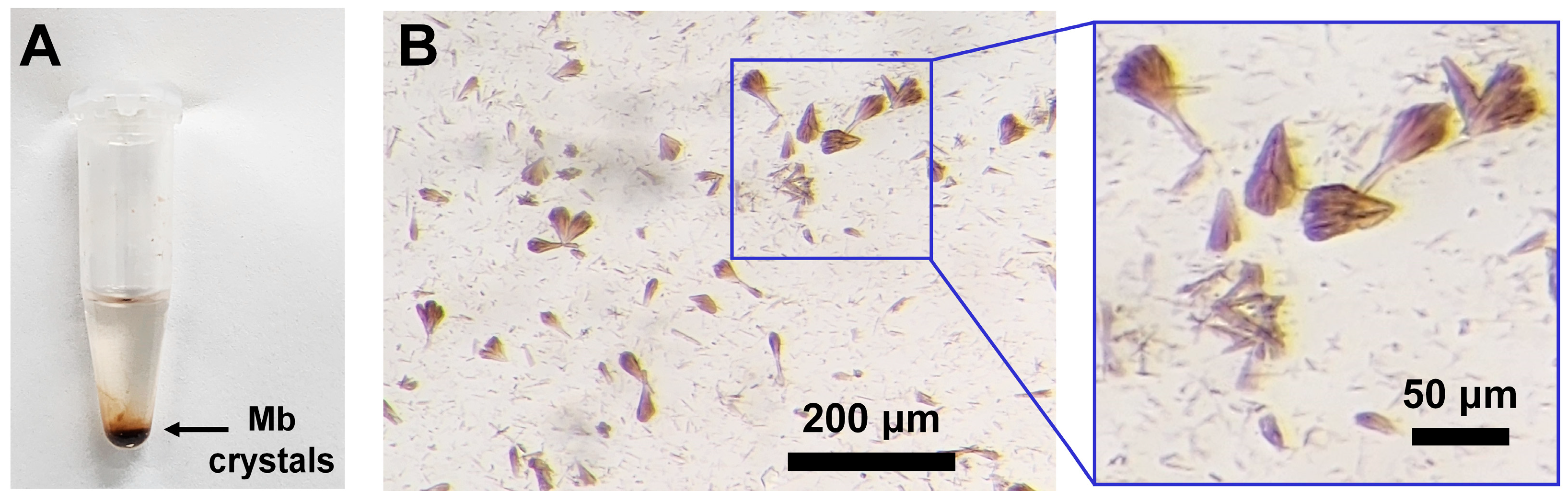 Crystals 15 00905 g001